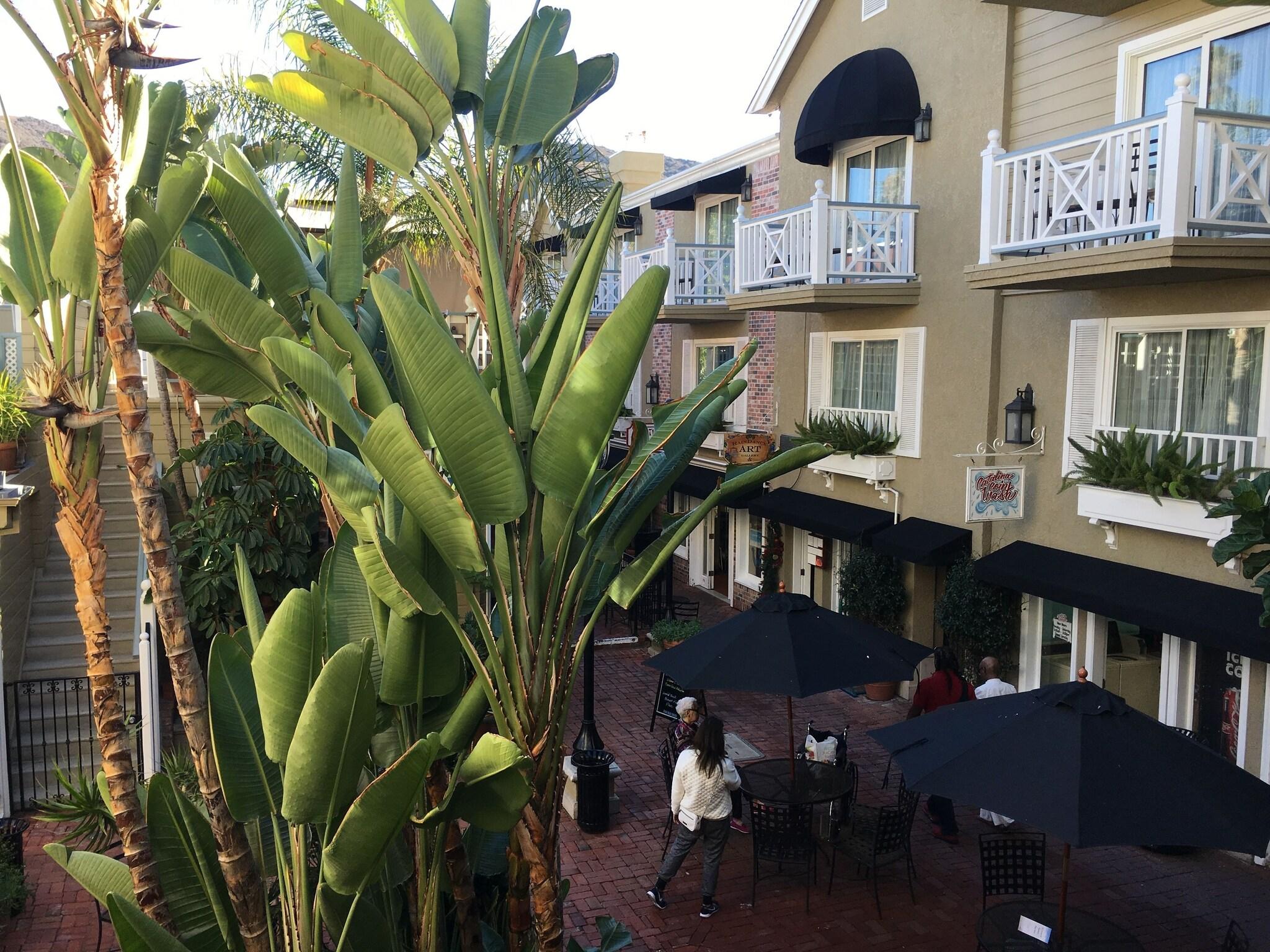 Hotel Metropole by null