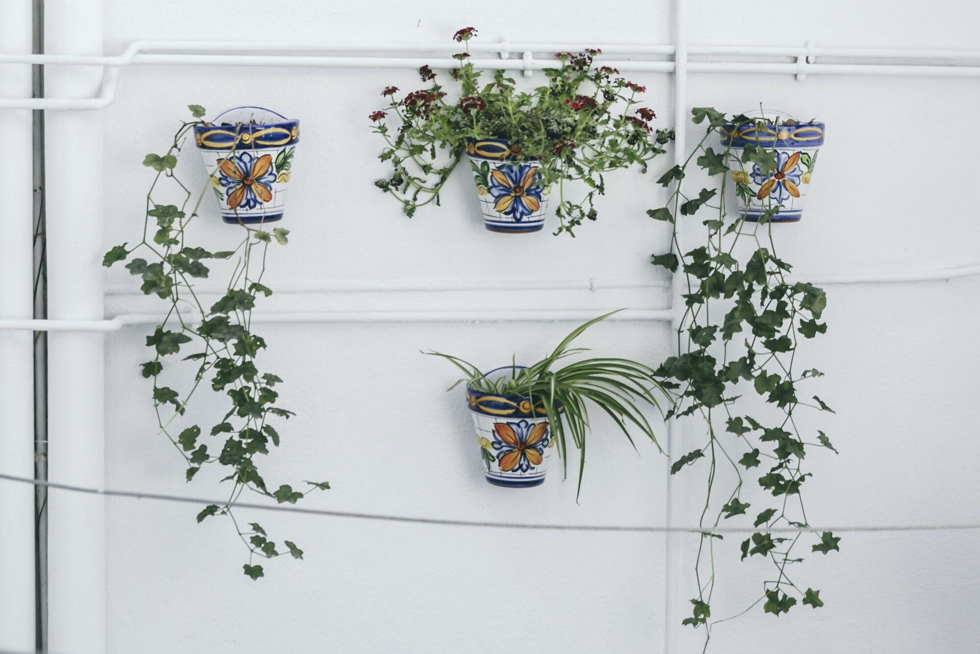 El Riad Andaluz by null