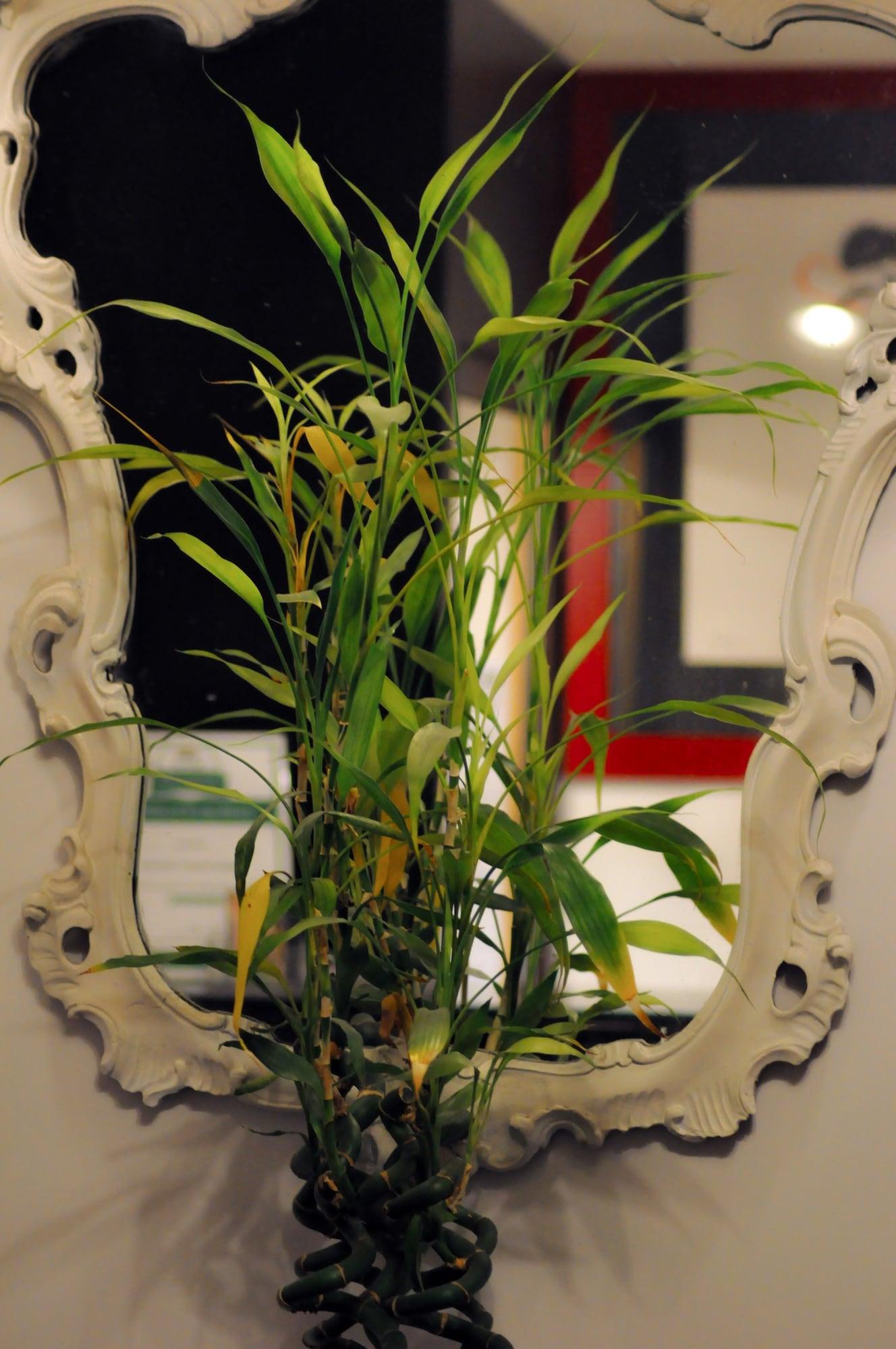 Relais Palazzo Taverna by null