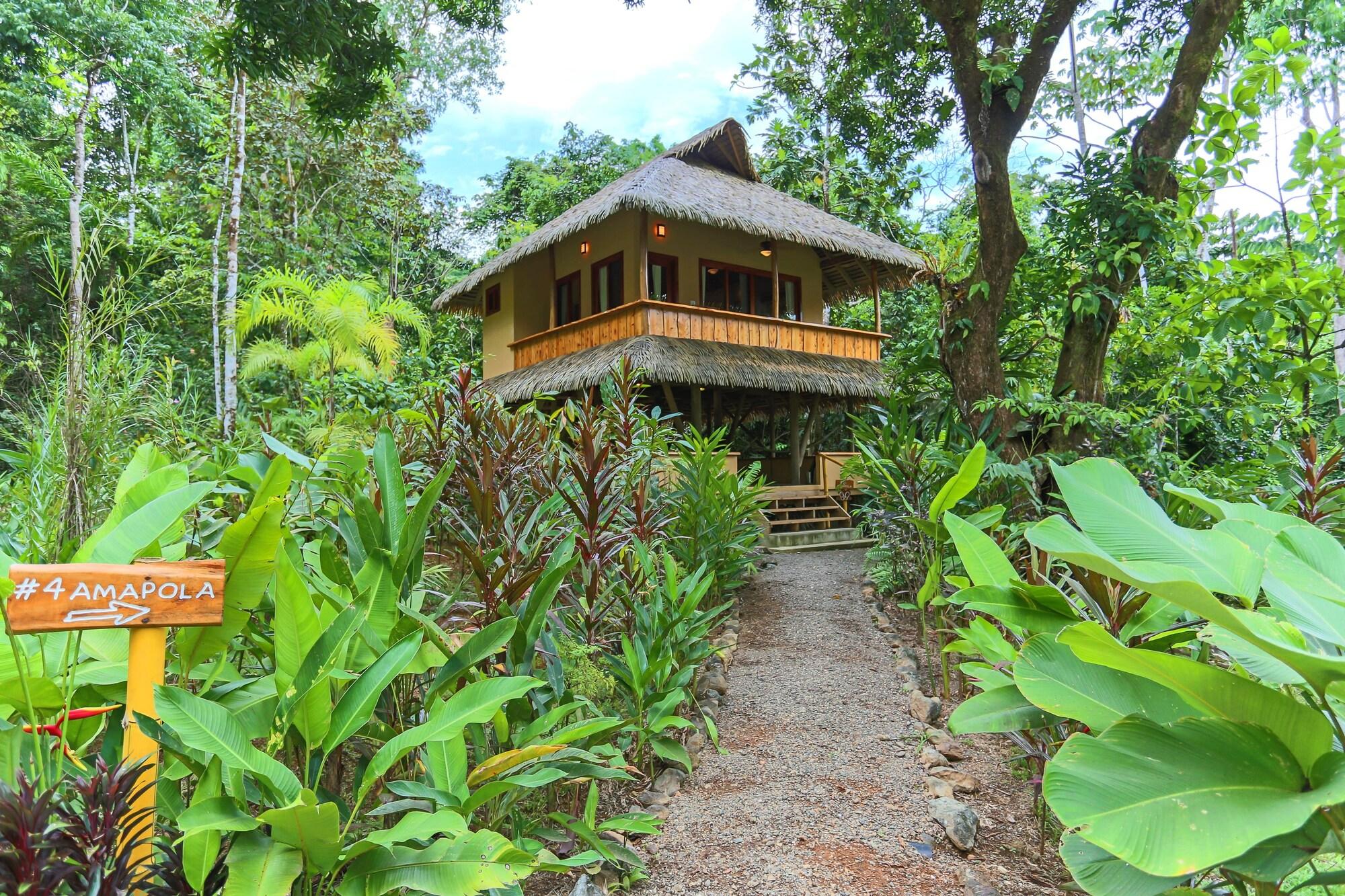 Copa De Arbol Beach & Rainforest Resort by null