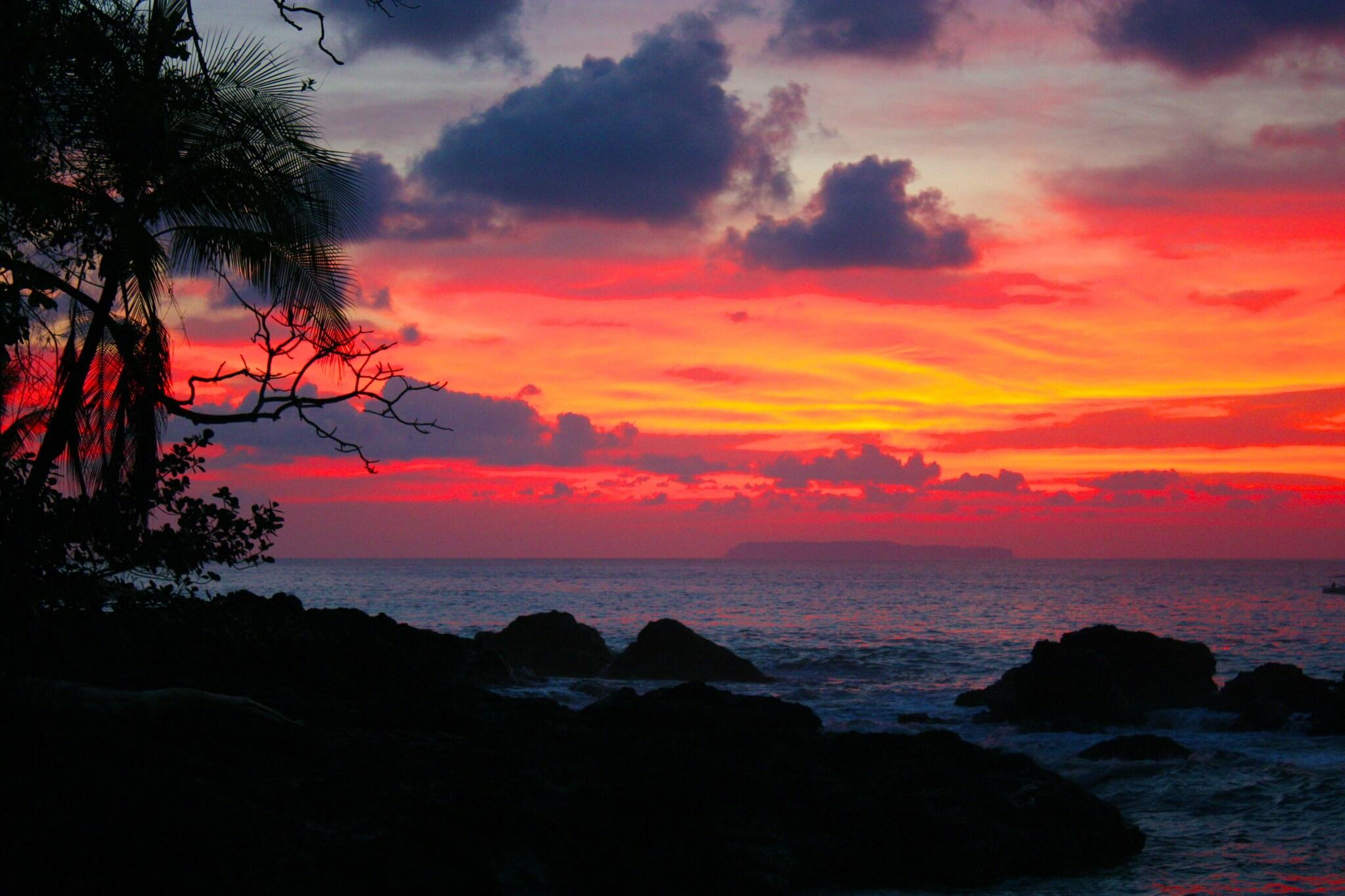 Copa De Arbol Beach & Rainforest Resort by null