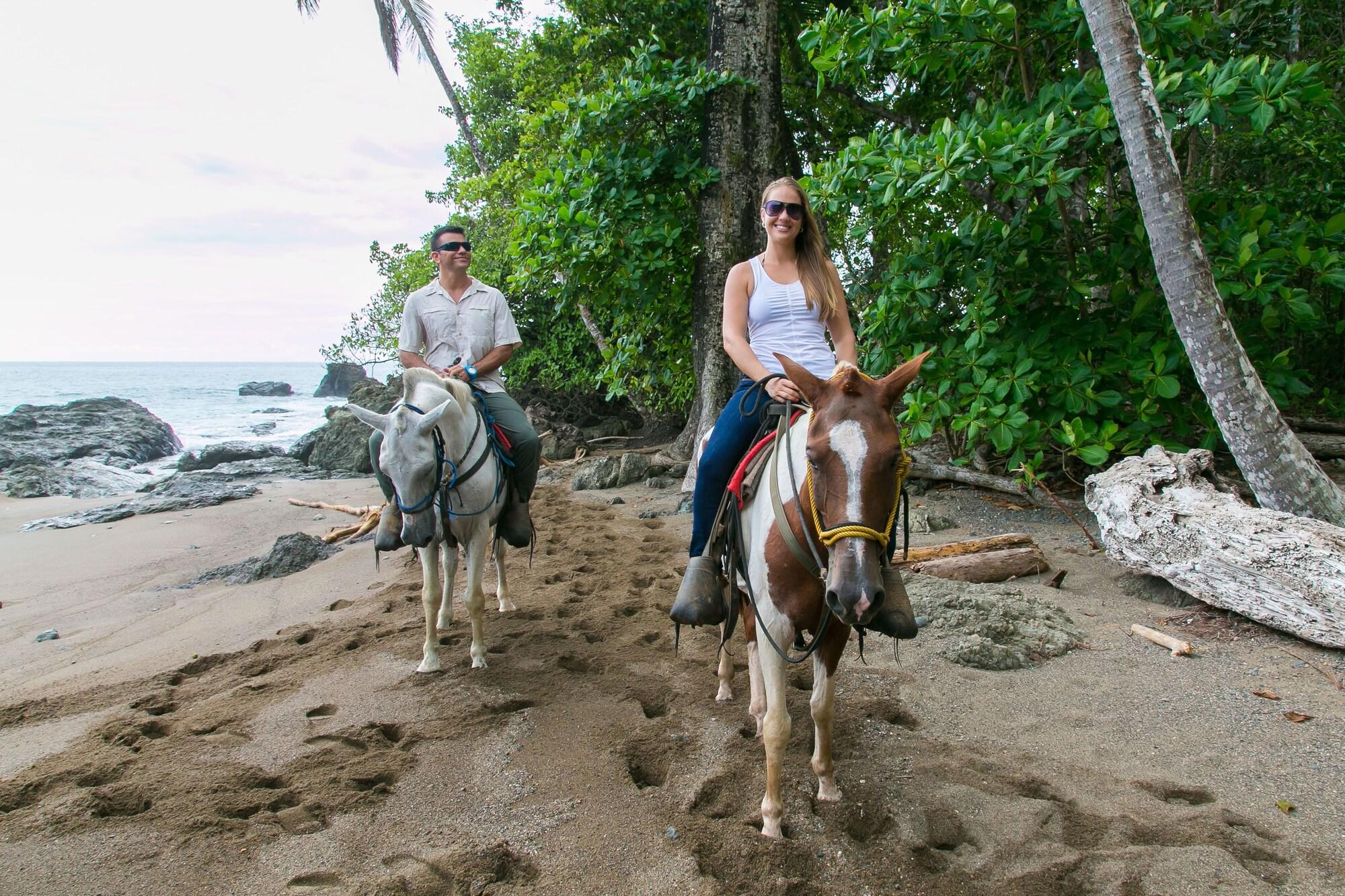 Copa De Arbol Beach & Rainforest Resort by null