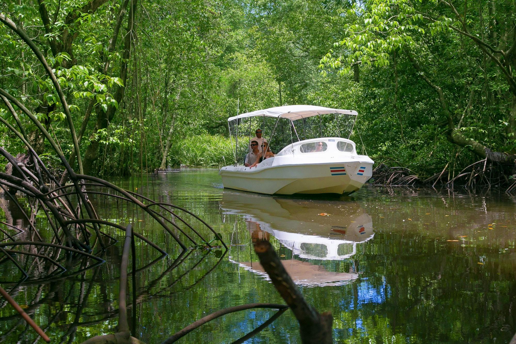 Copa De Arbol Beach & Rainforest Resort by null