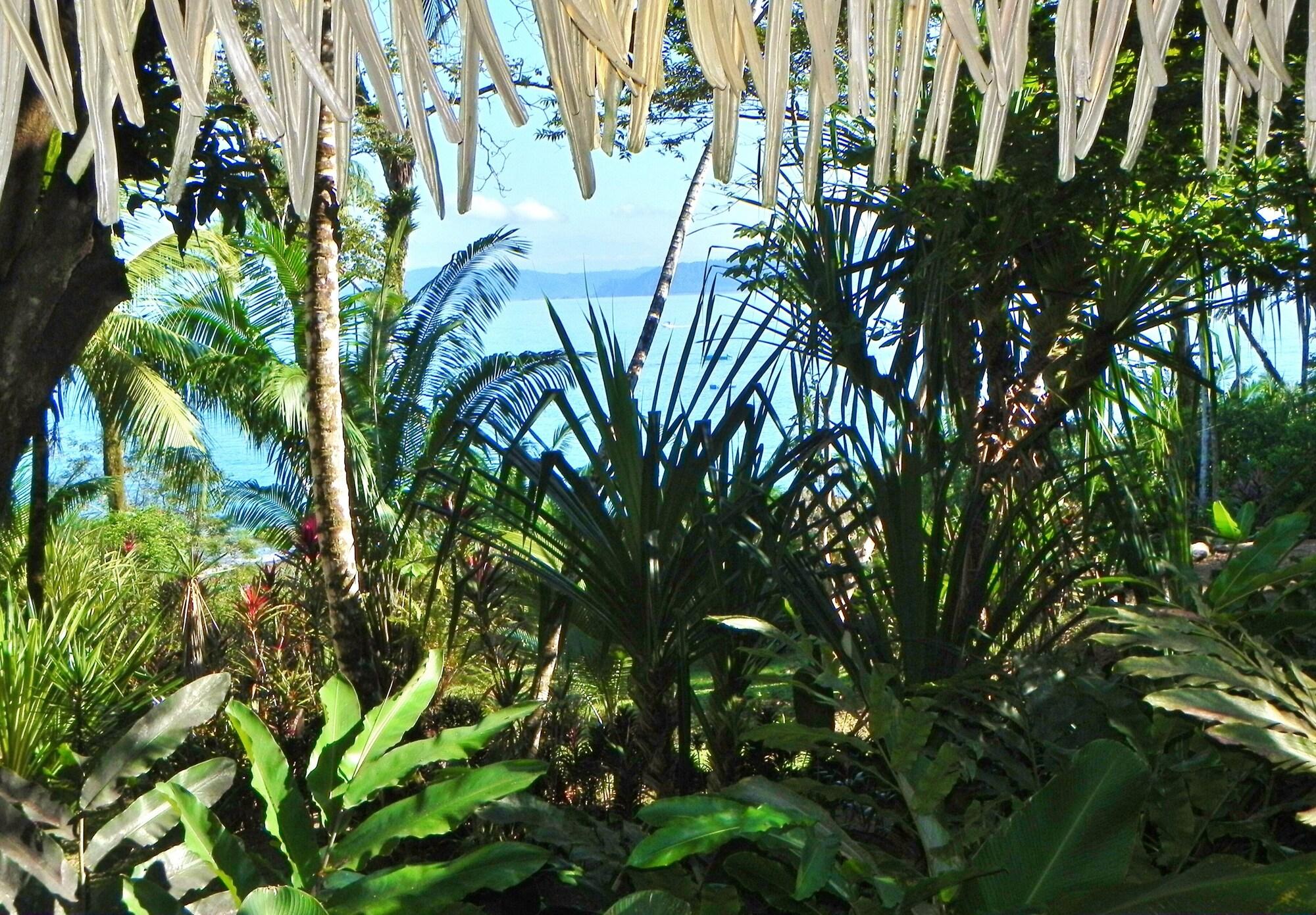 Copa De Arbol Beach & Rainforest Resort by null