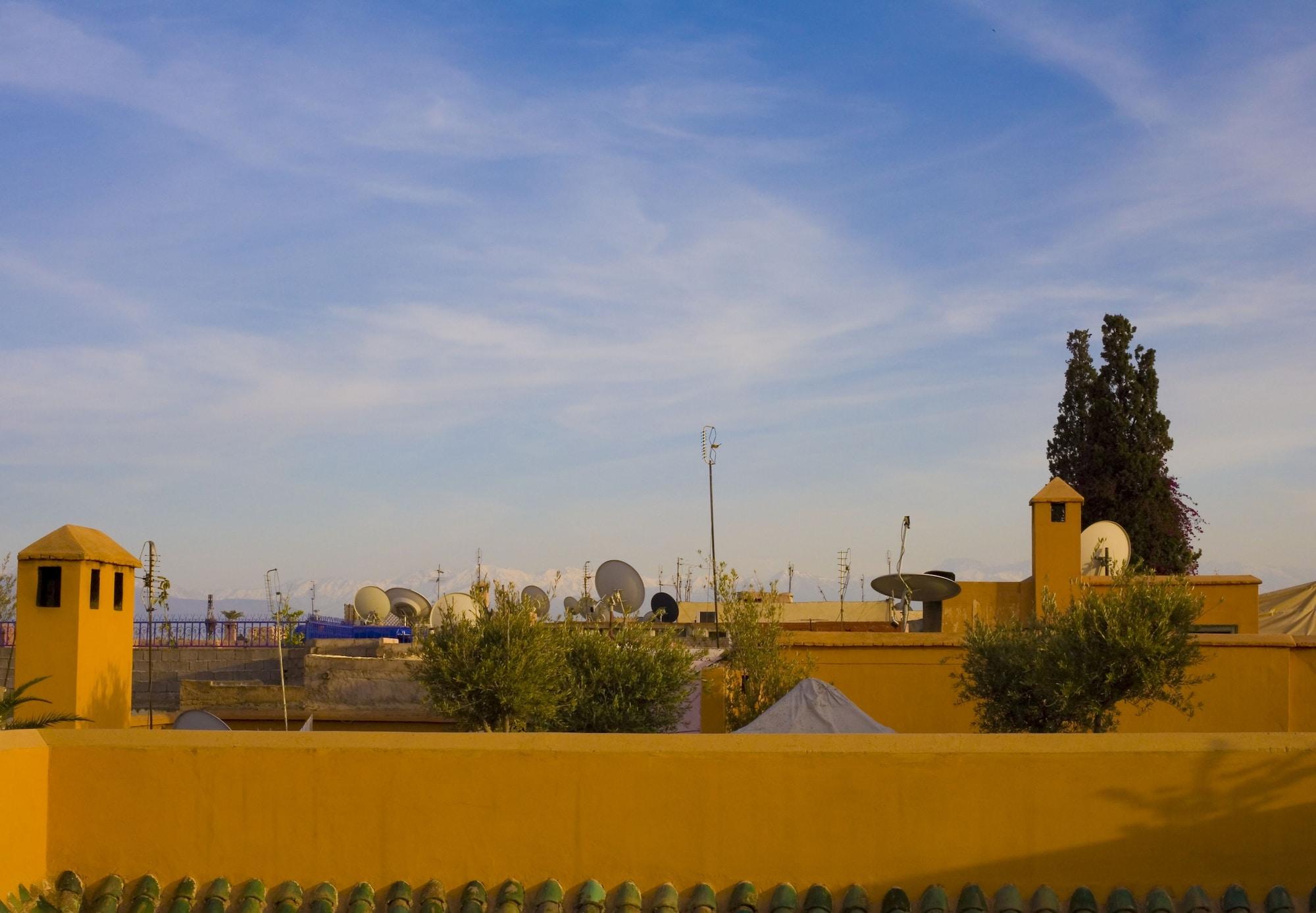 Riyad El Cadi by null