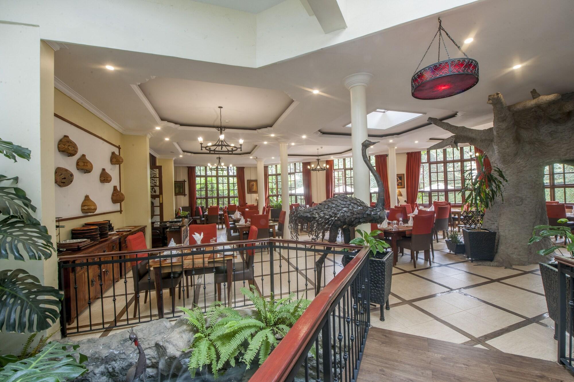 The African Tulip by null