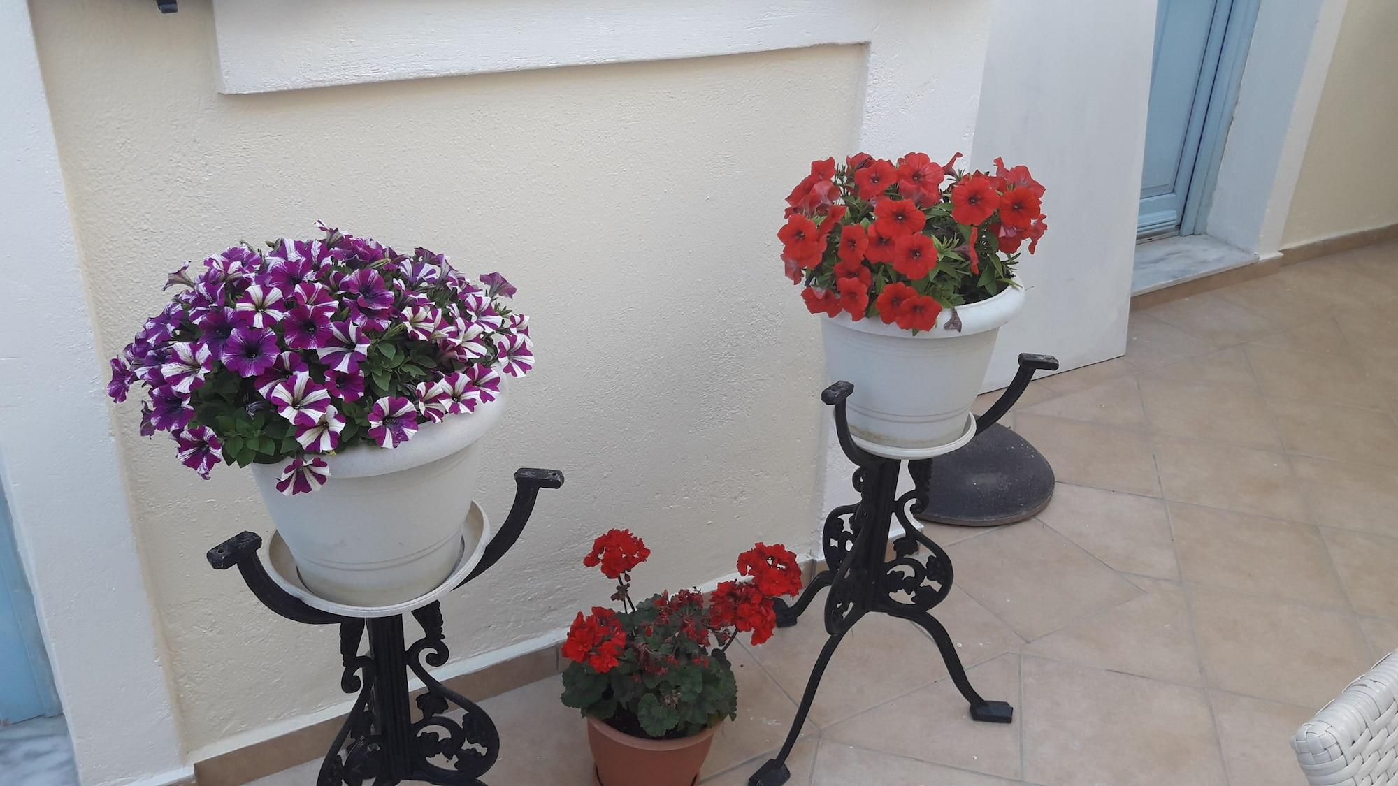 Villa Roussa by null