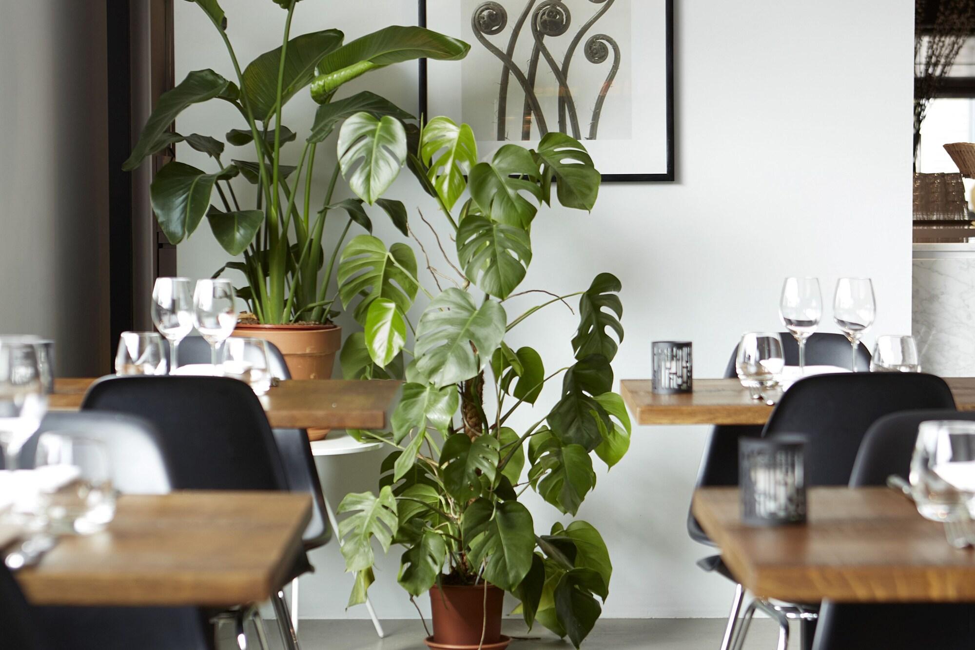 Hotel Mooirivier by null