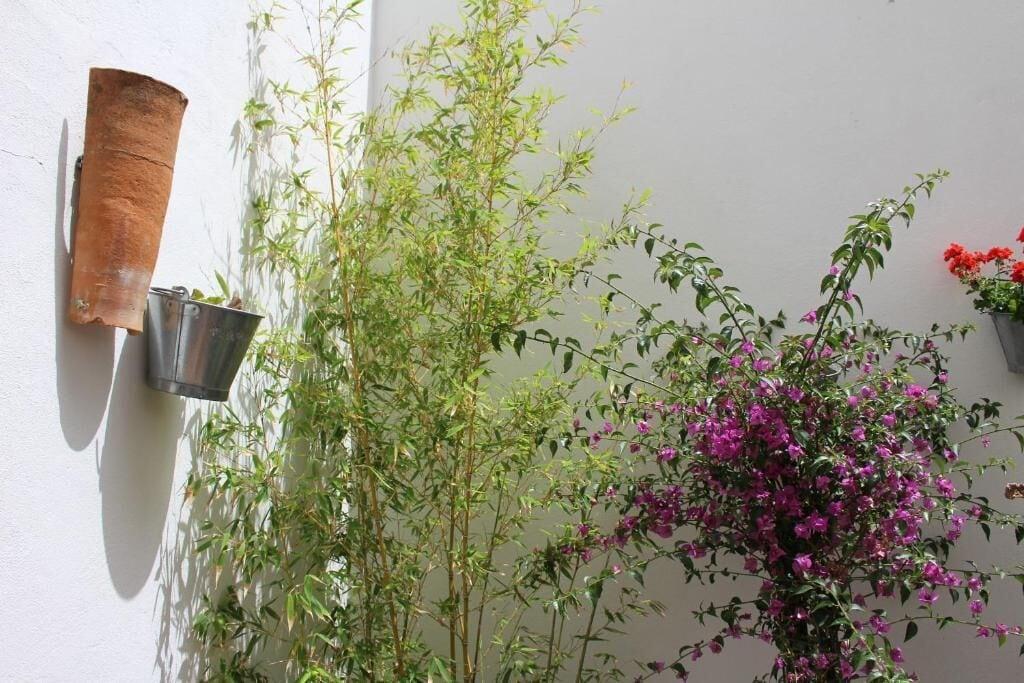 Hotel Room Tarifa by null