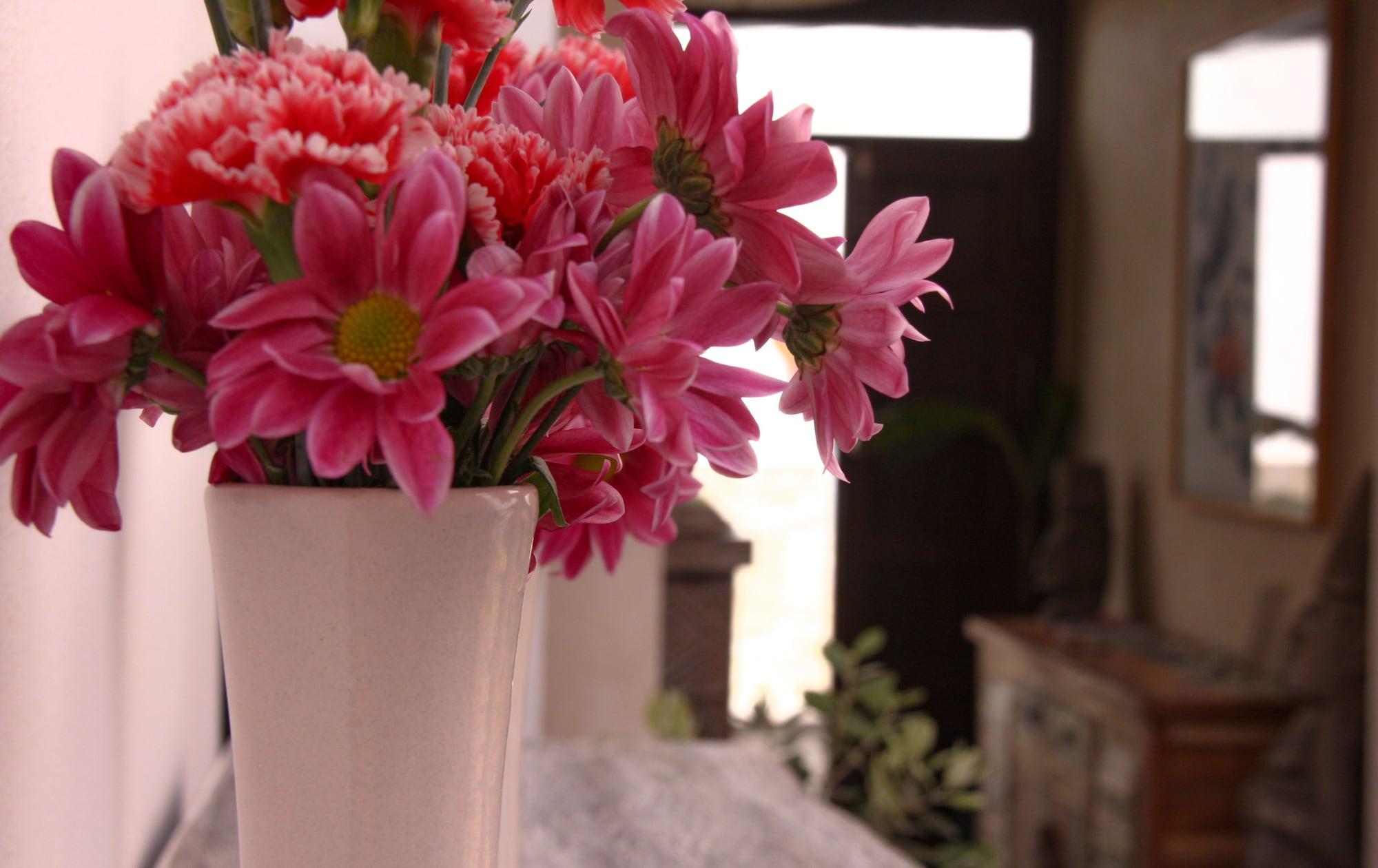 Hotel Room Tarifa by null