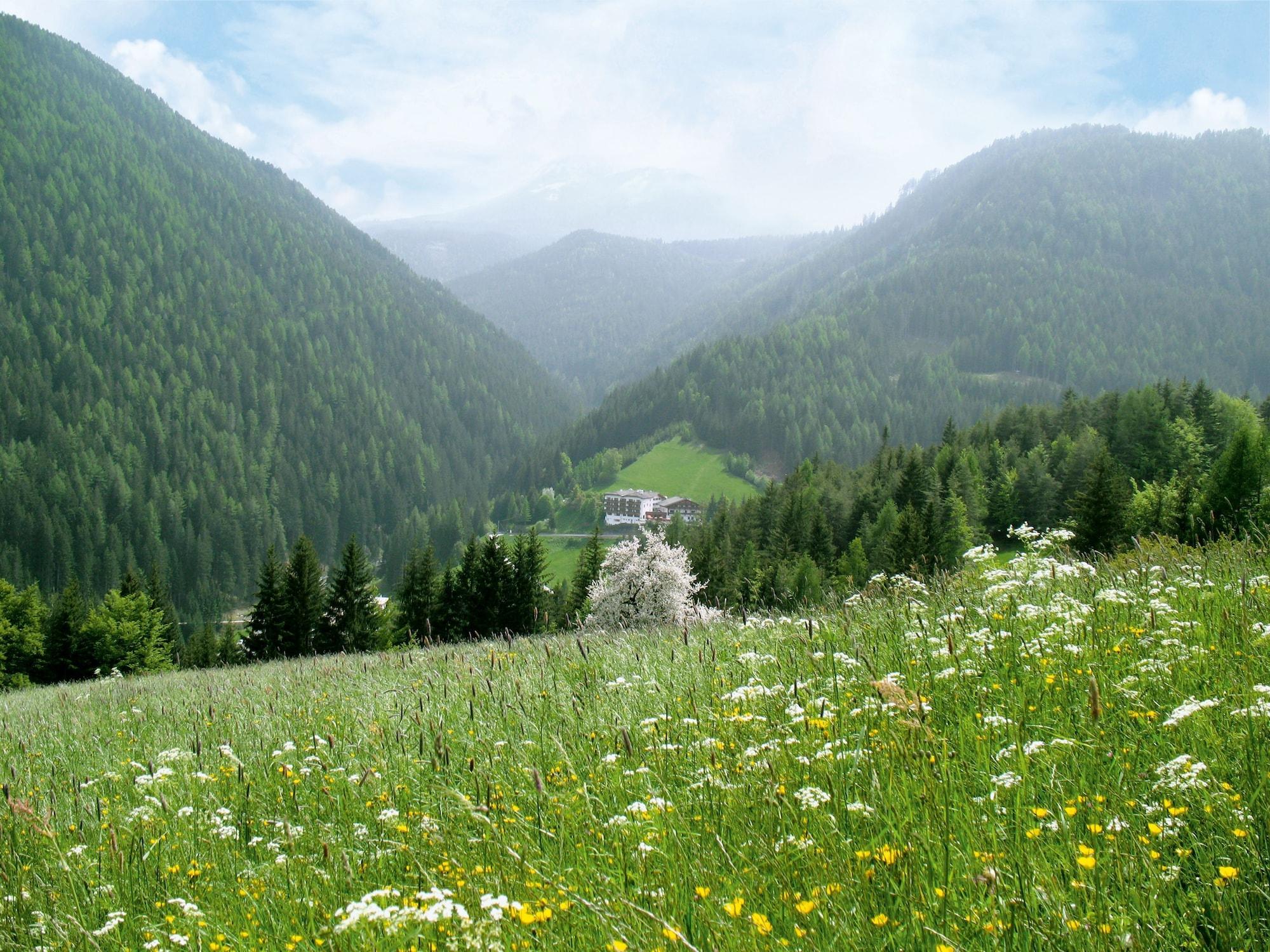 Ganischgerhof Mountain Resort & SPA by null