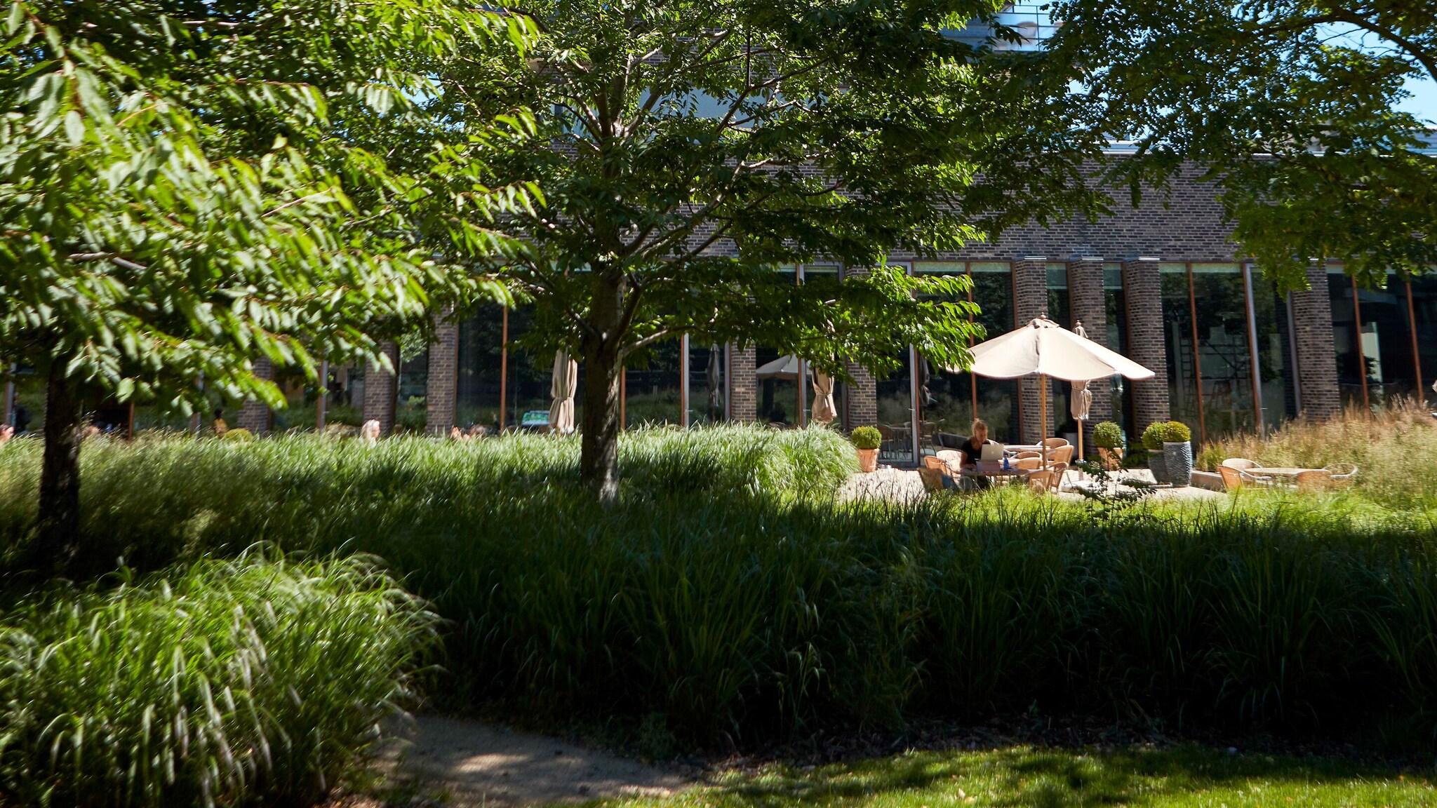 Charlottehaven by null