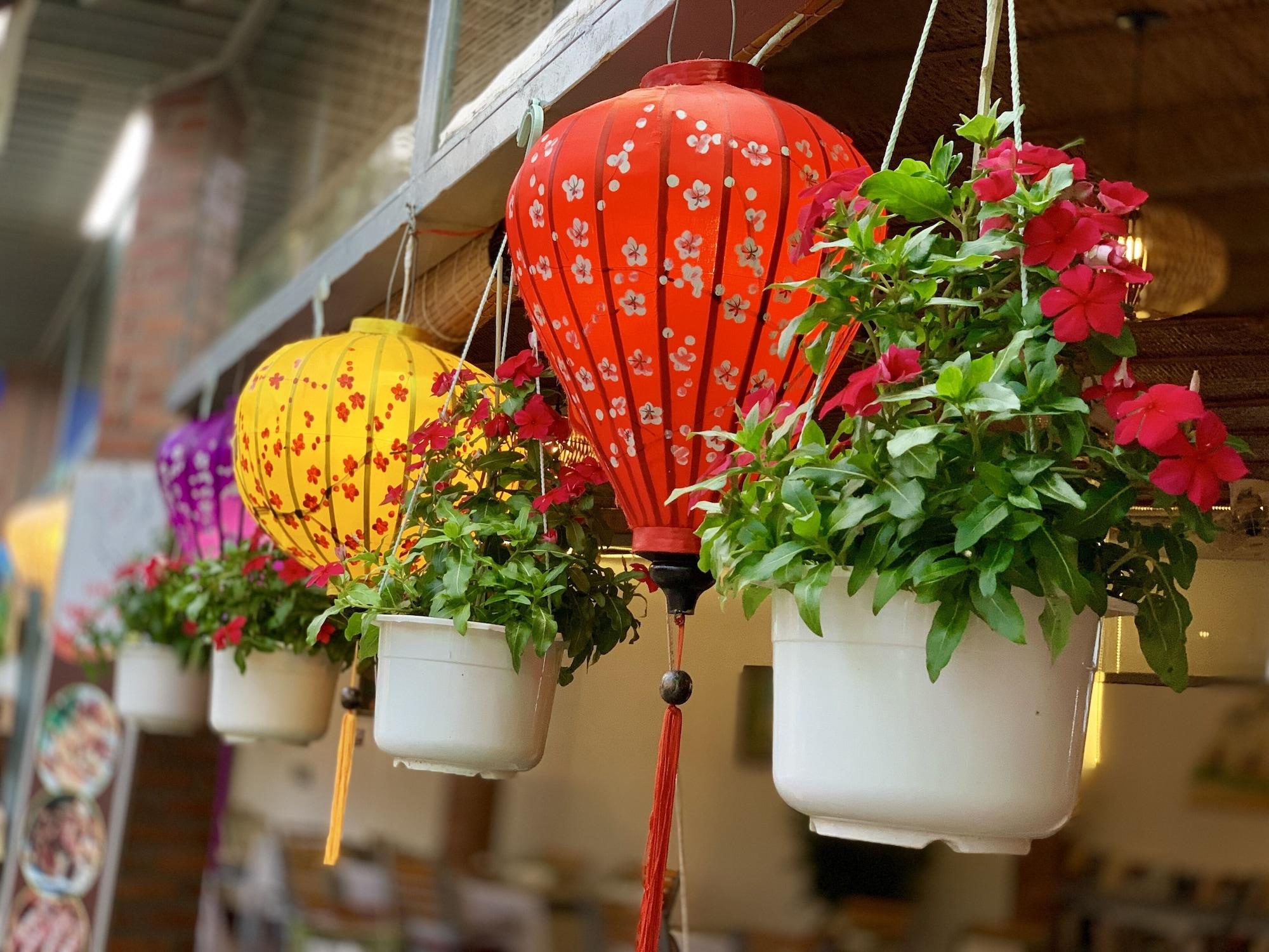 Canary Bungalow - фото