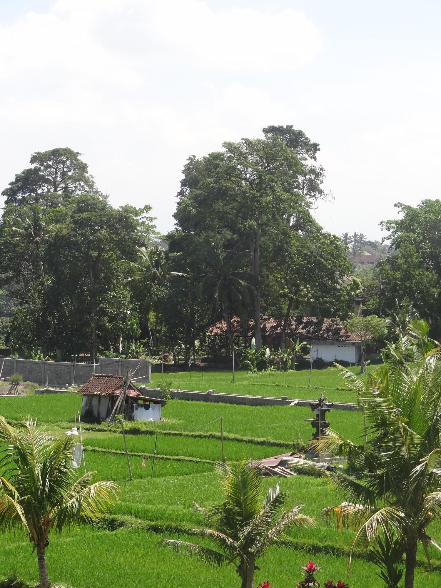 Hibiscus Cottages