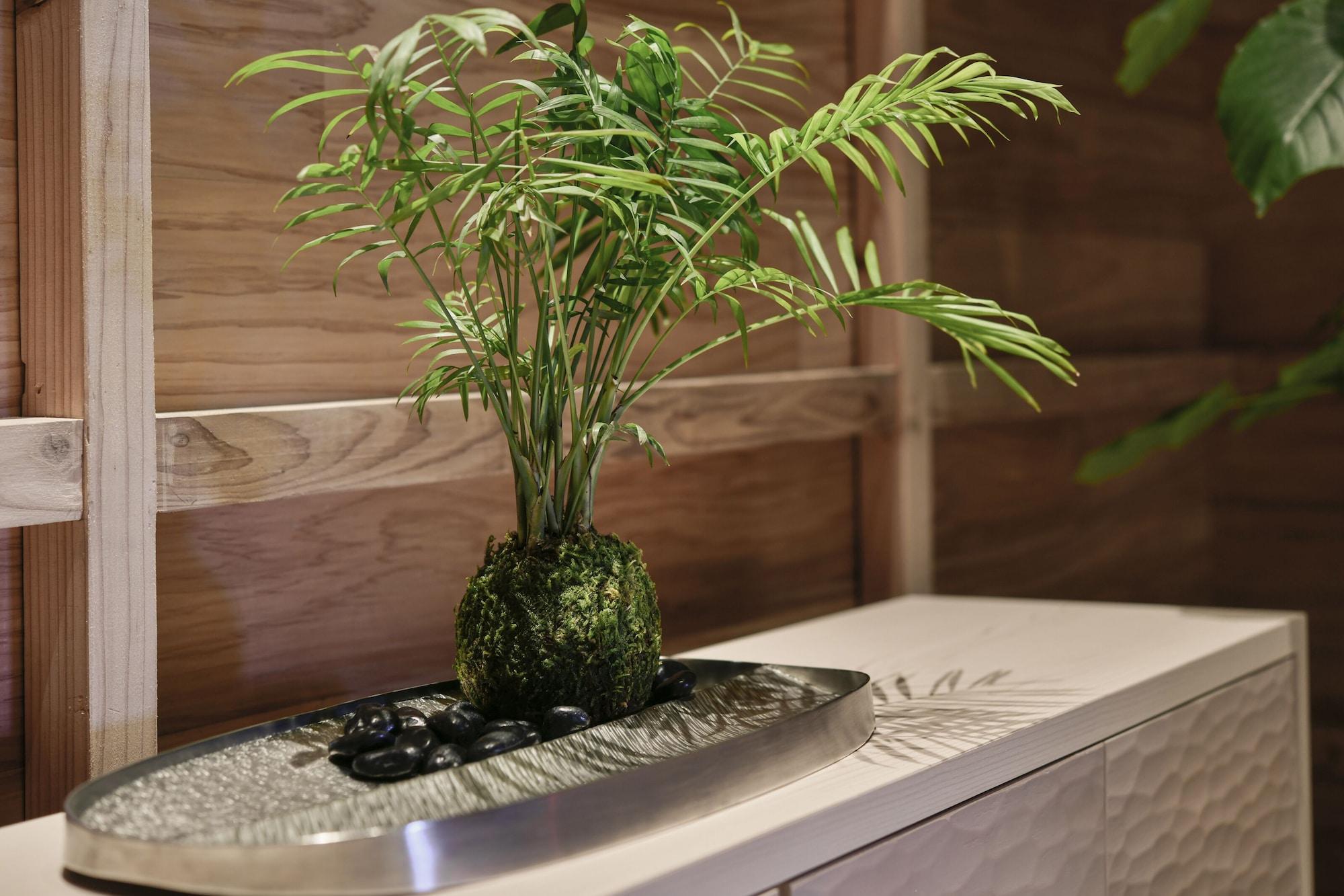 REF Kumamoto by VESSEL HOTELS by null