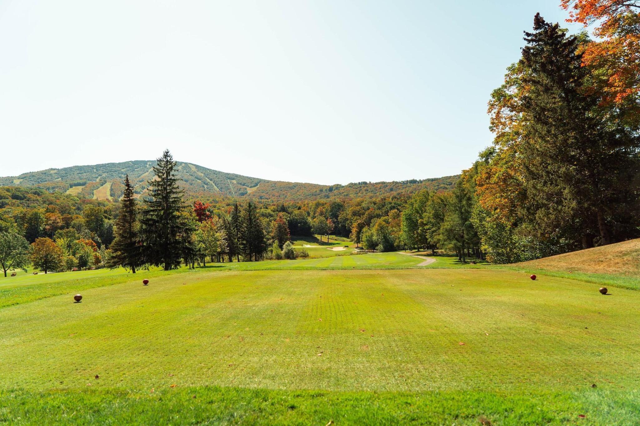 Black Bear Lodge At Stratton Mountain