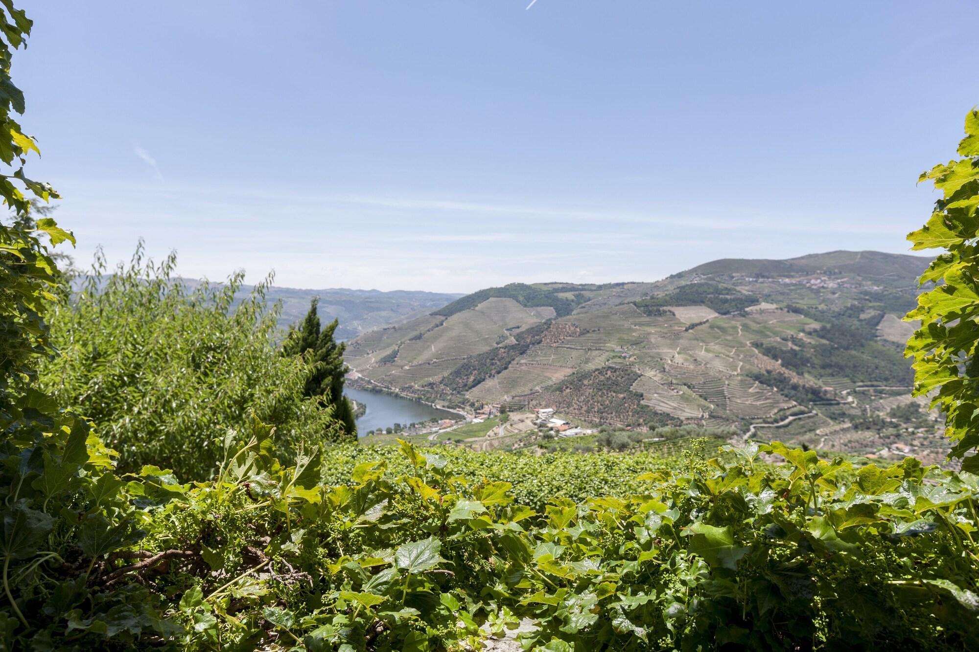 Casa de Casal de Loivos by null