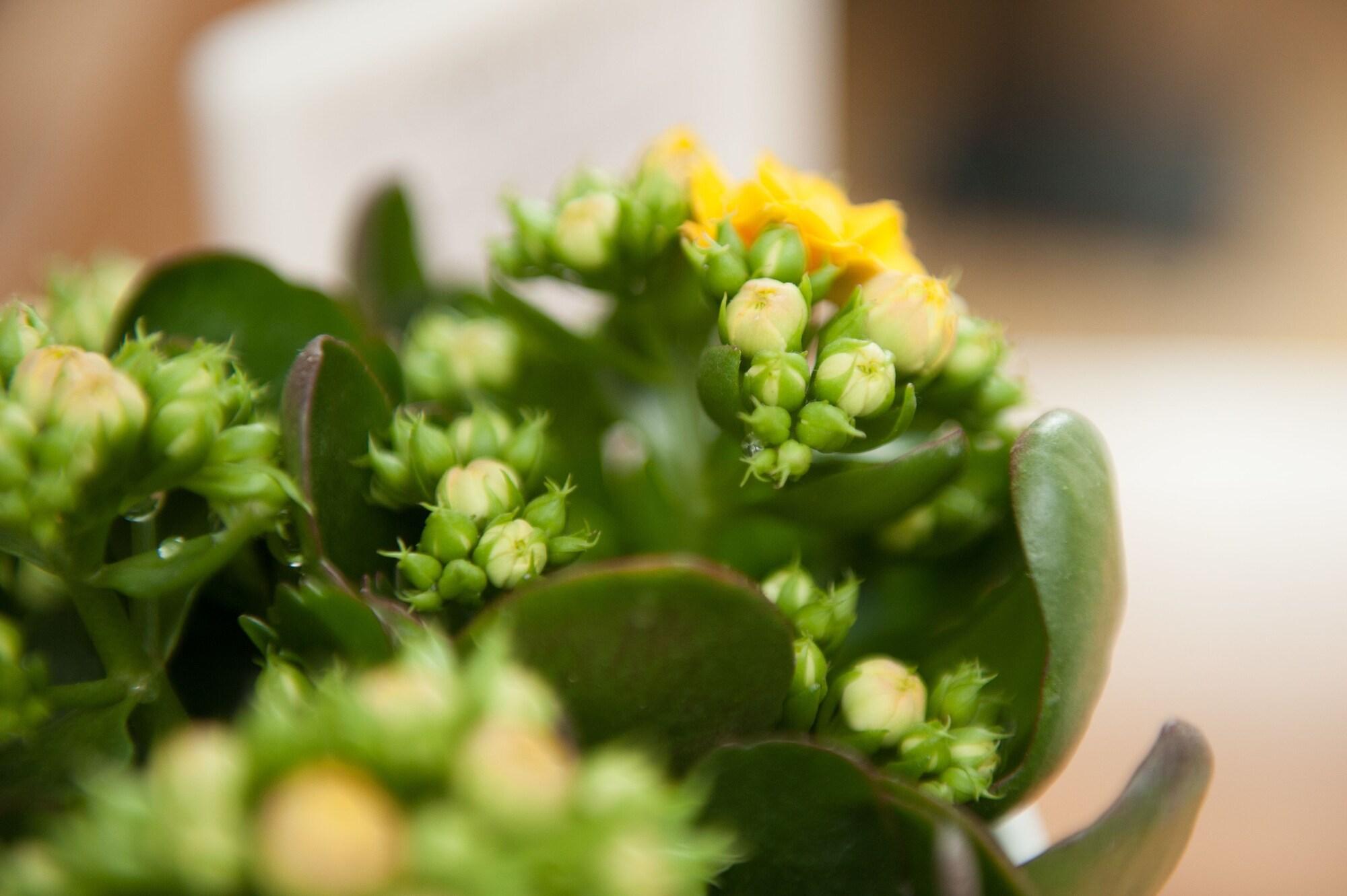 Five Reasons by null