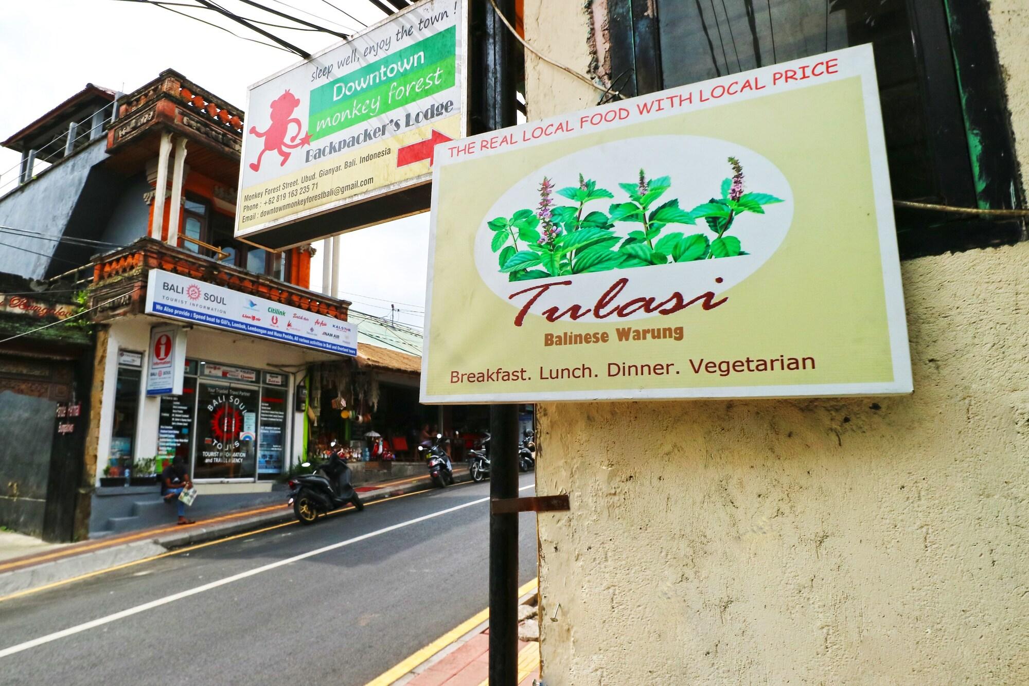 Downtown Monkey Forest - Hostel