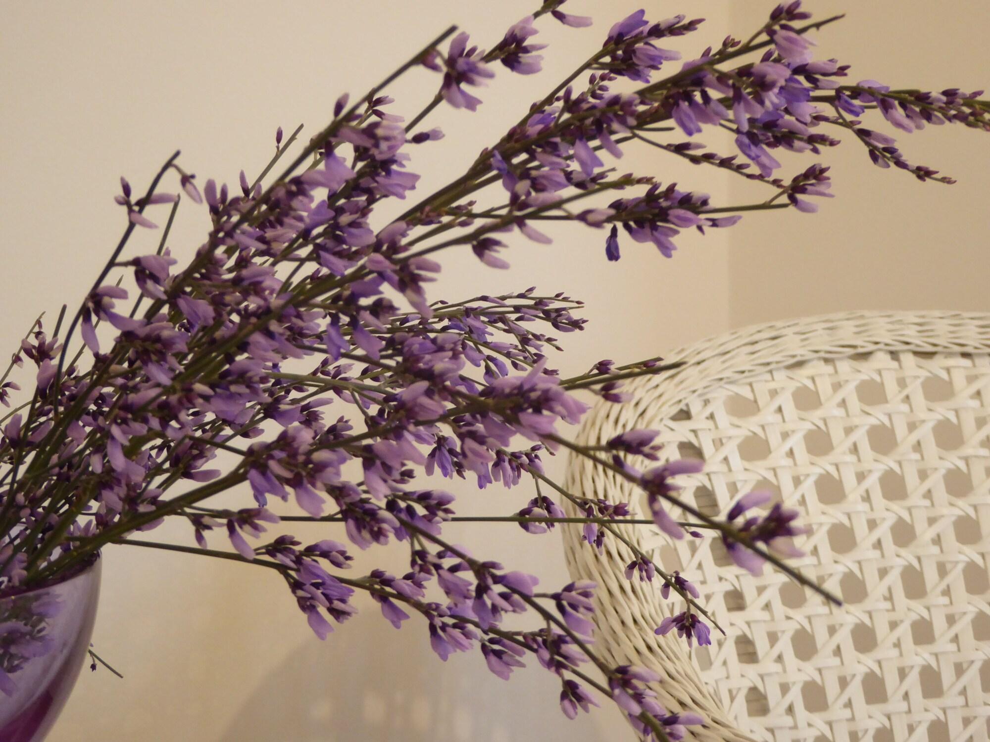 B&B Vista sul Canal Grande - photo