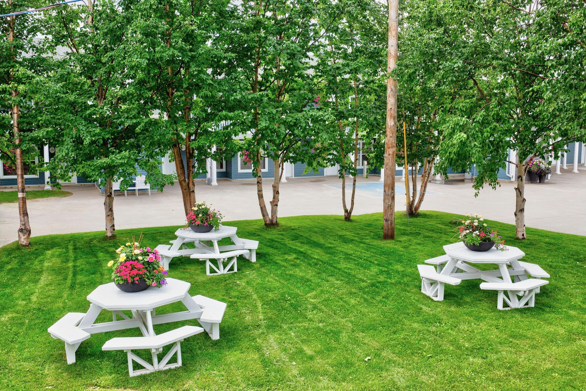 Royal Inn + Suites by null