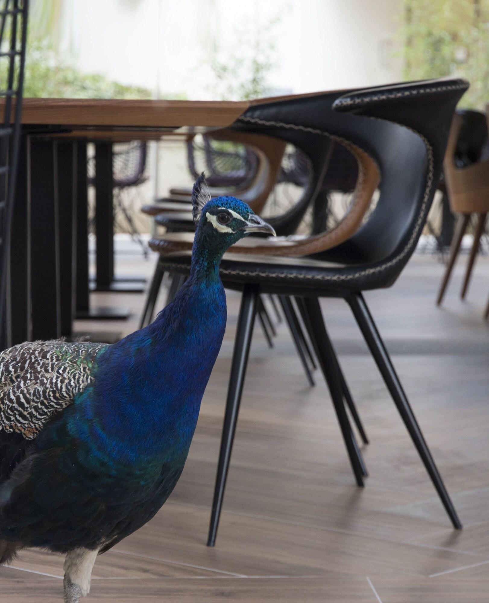 Time Boutique Hotel - фото