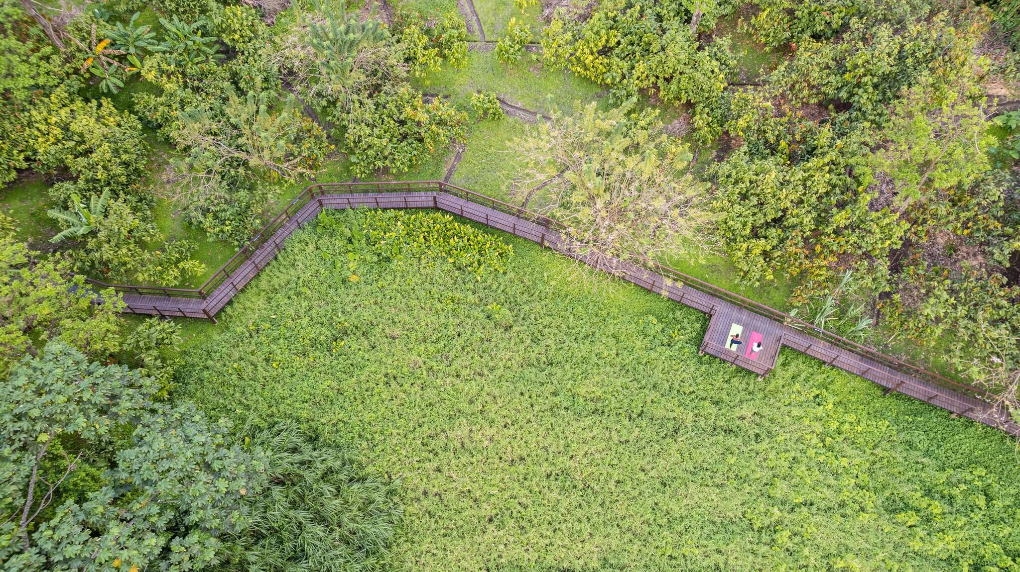 Rabot Hotel from Hotel Chocolat by null