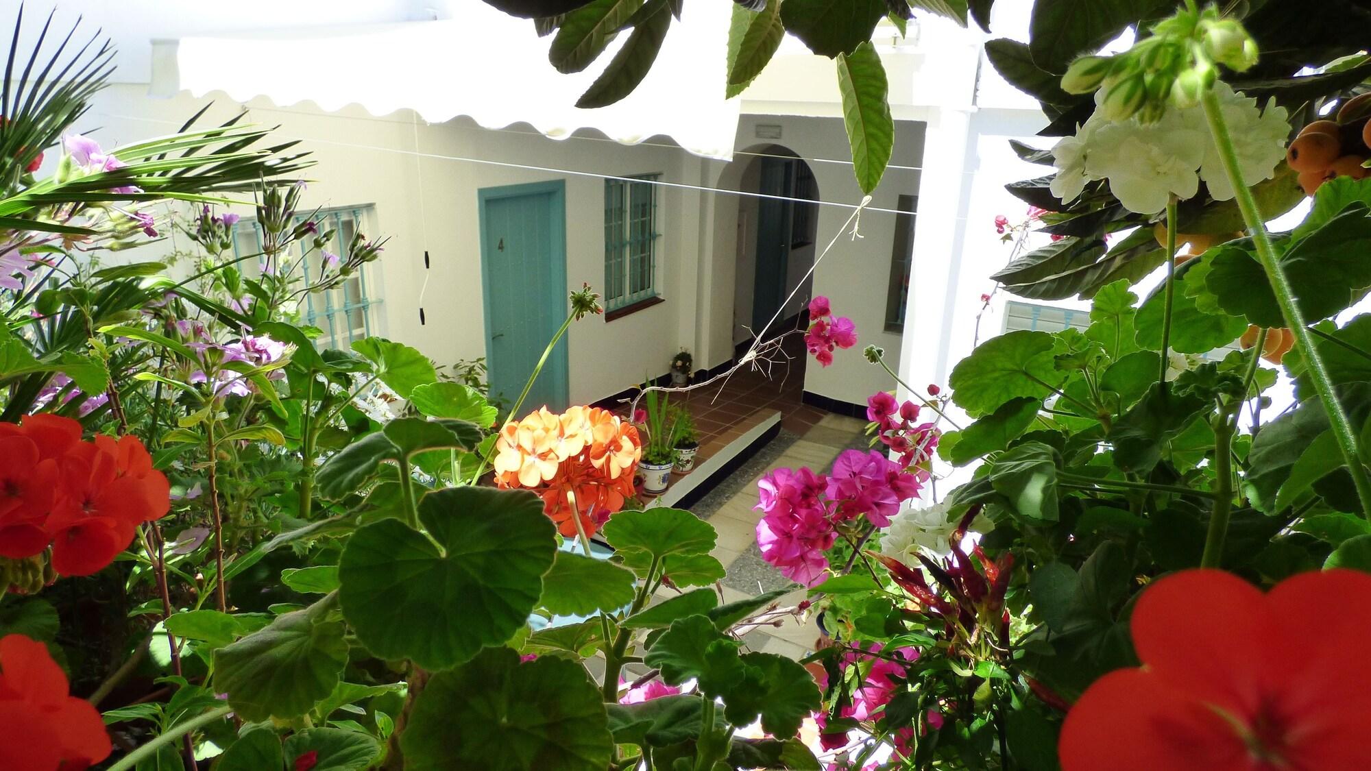 Hostal Campo Nuevo by null