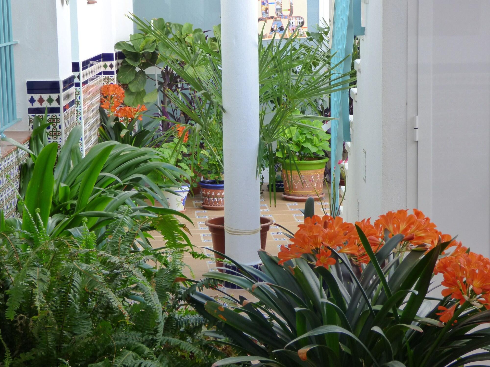 Hostal Campo Nuevo by null