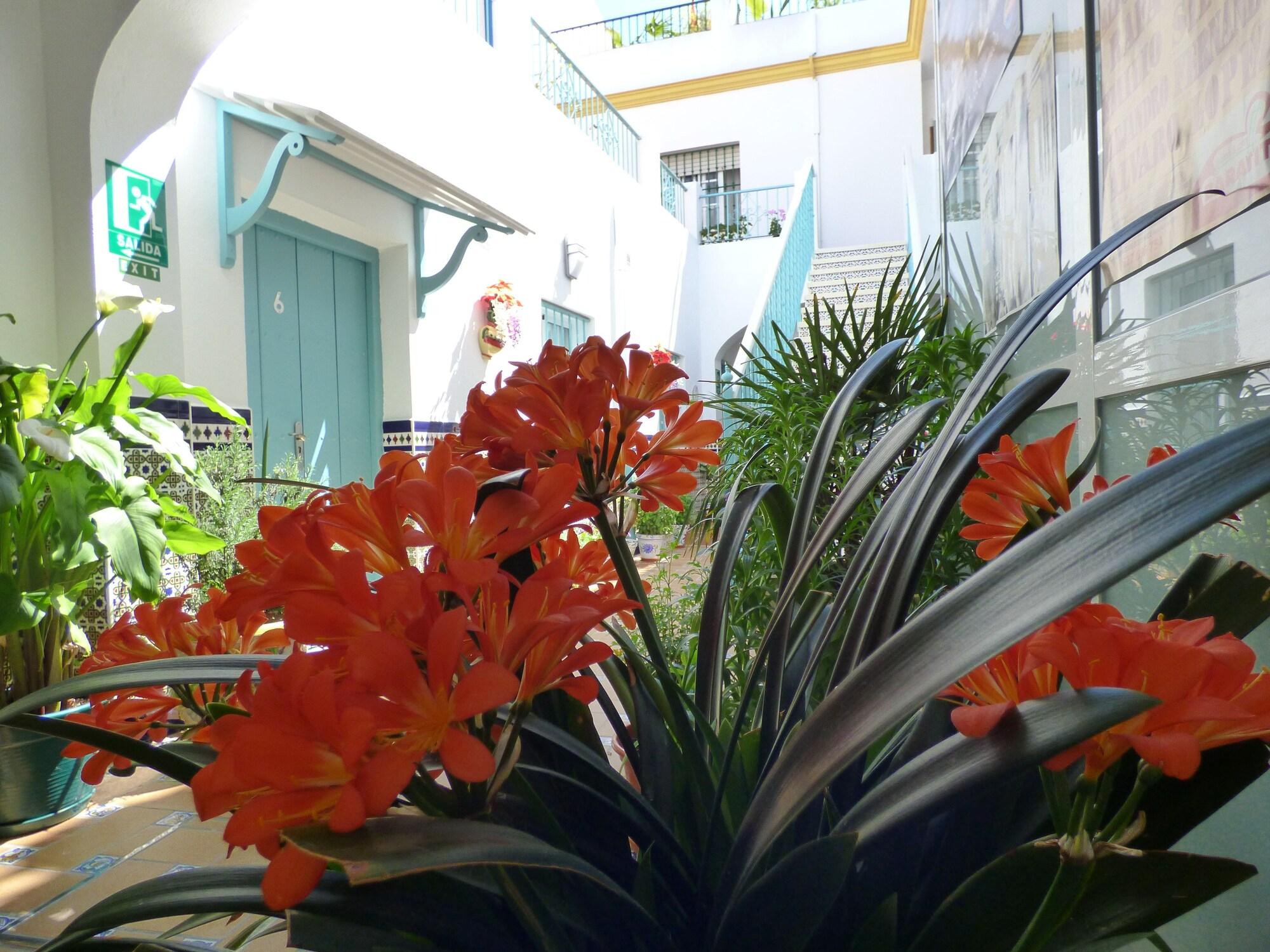 Hostal Campo Nuevo by null
