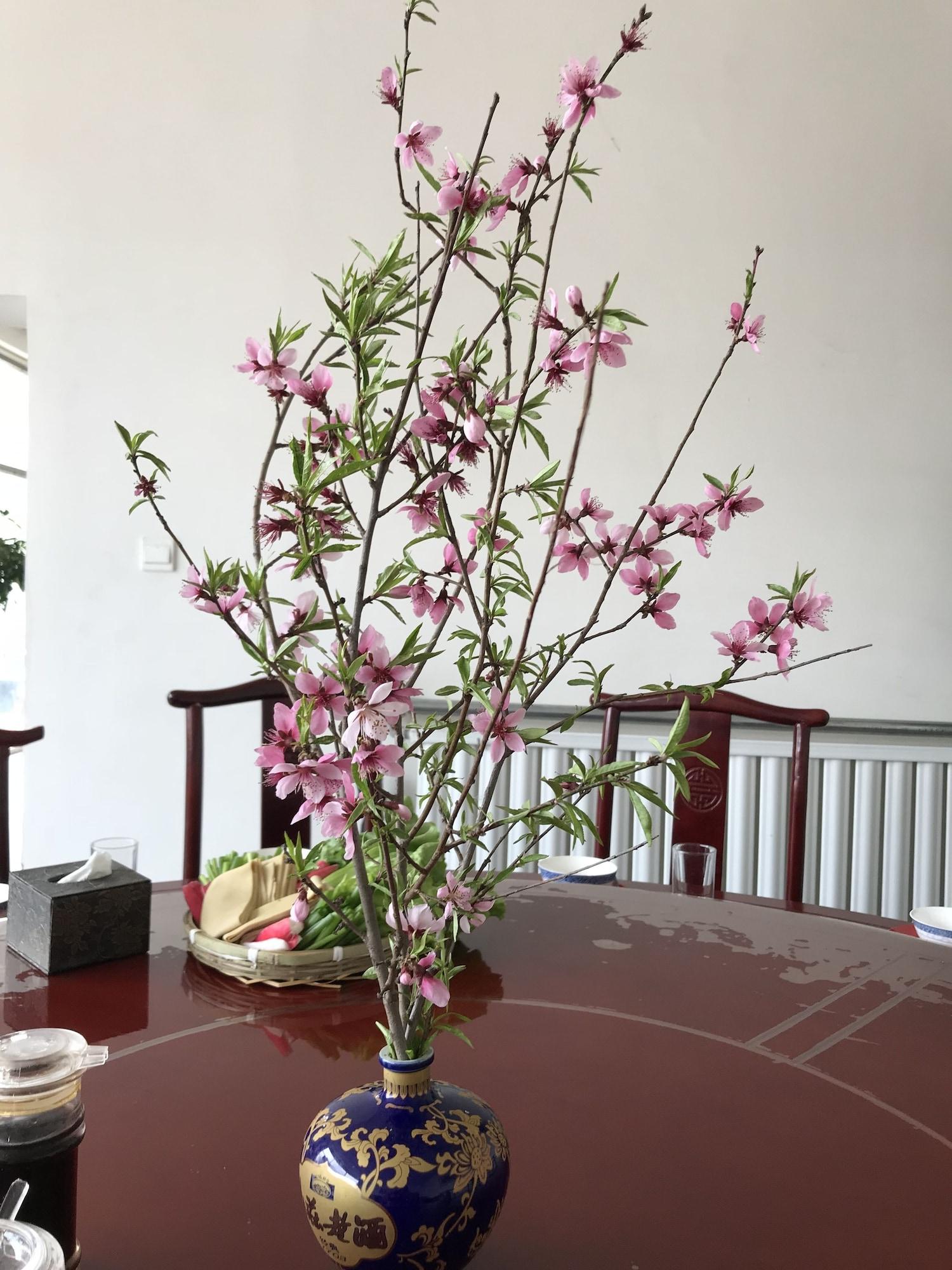 Manhong's Private Courtyard