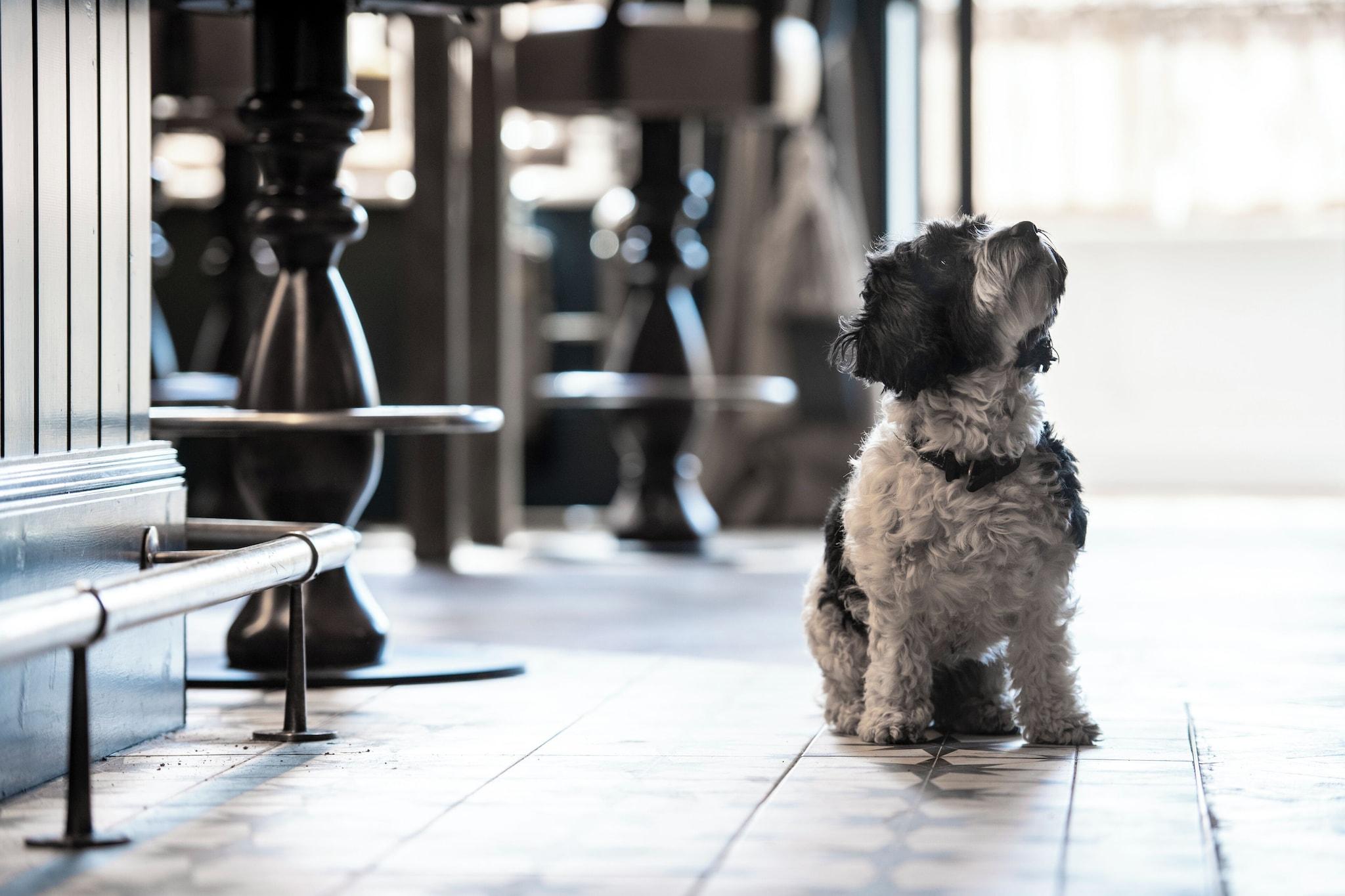 Beadnell Towers by null