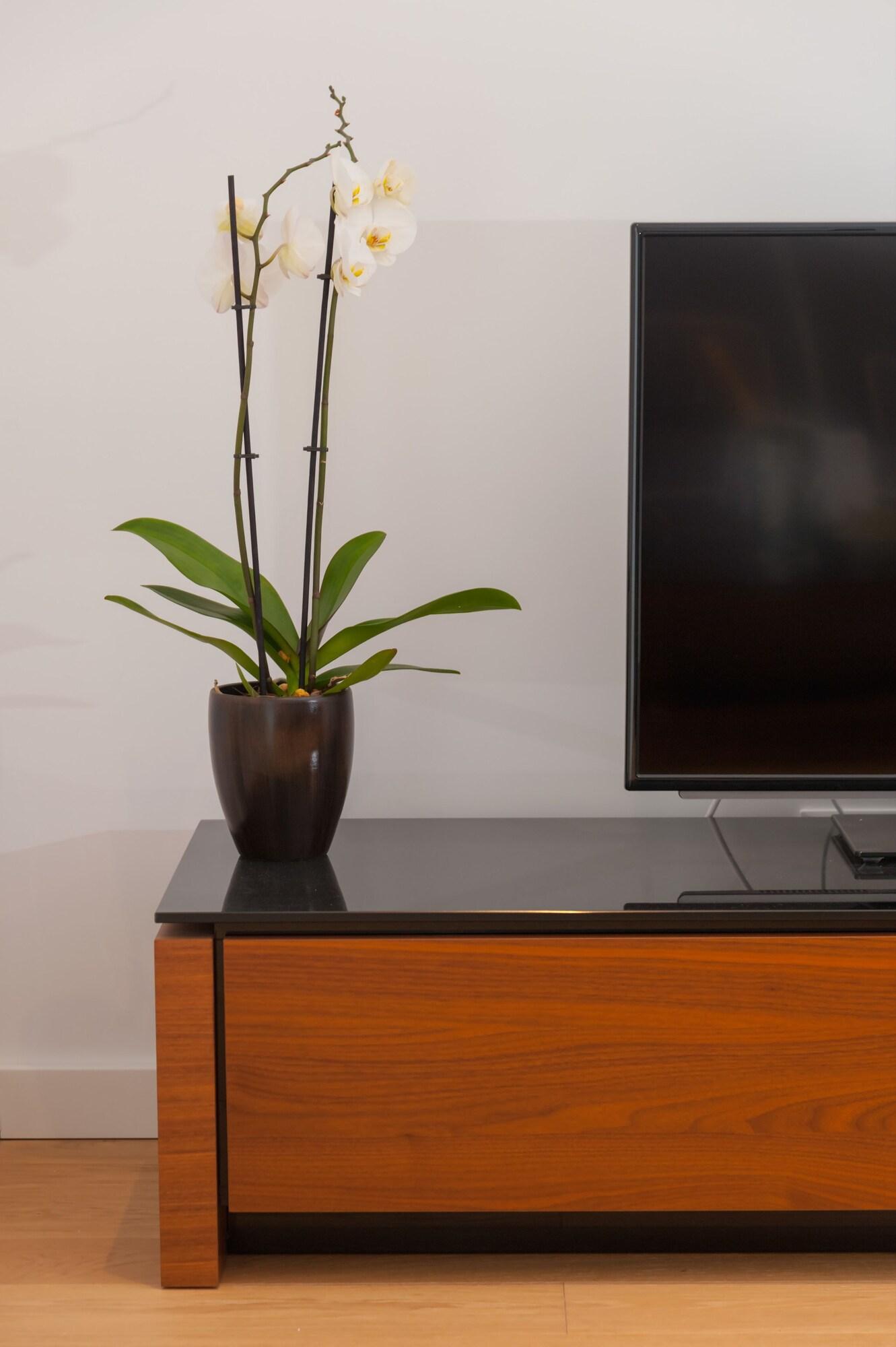 Residence by Vestibul Palace by null