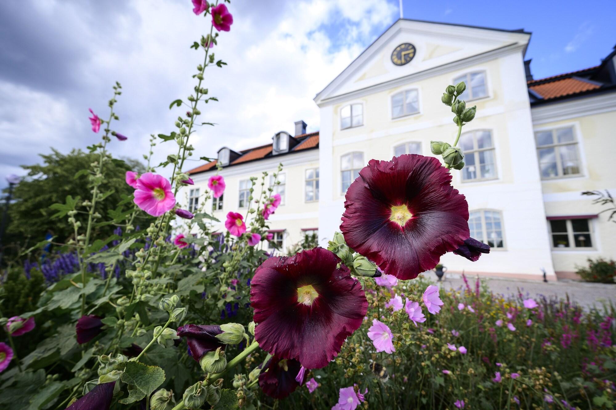Stjärnholms Slott photo 8
