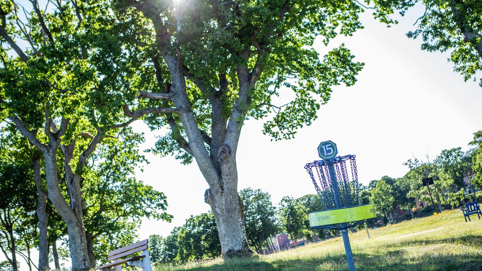 Hotel Hehrne Restaurang och Konferens by null