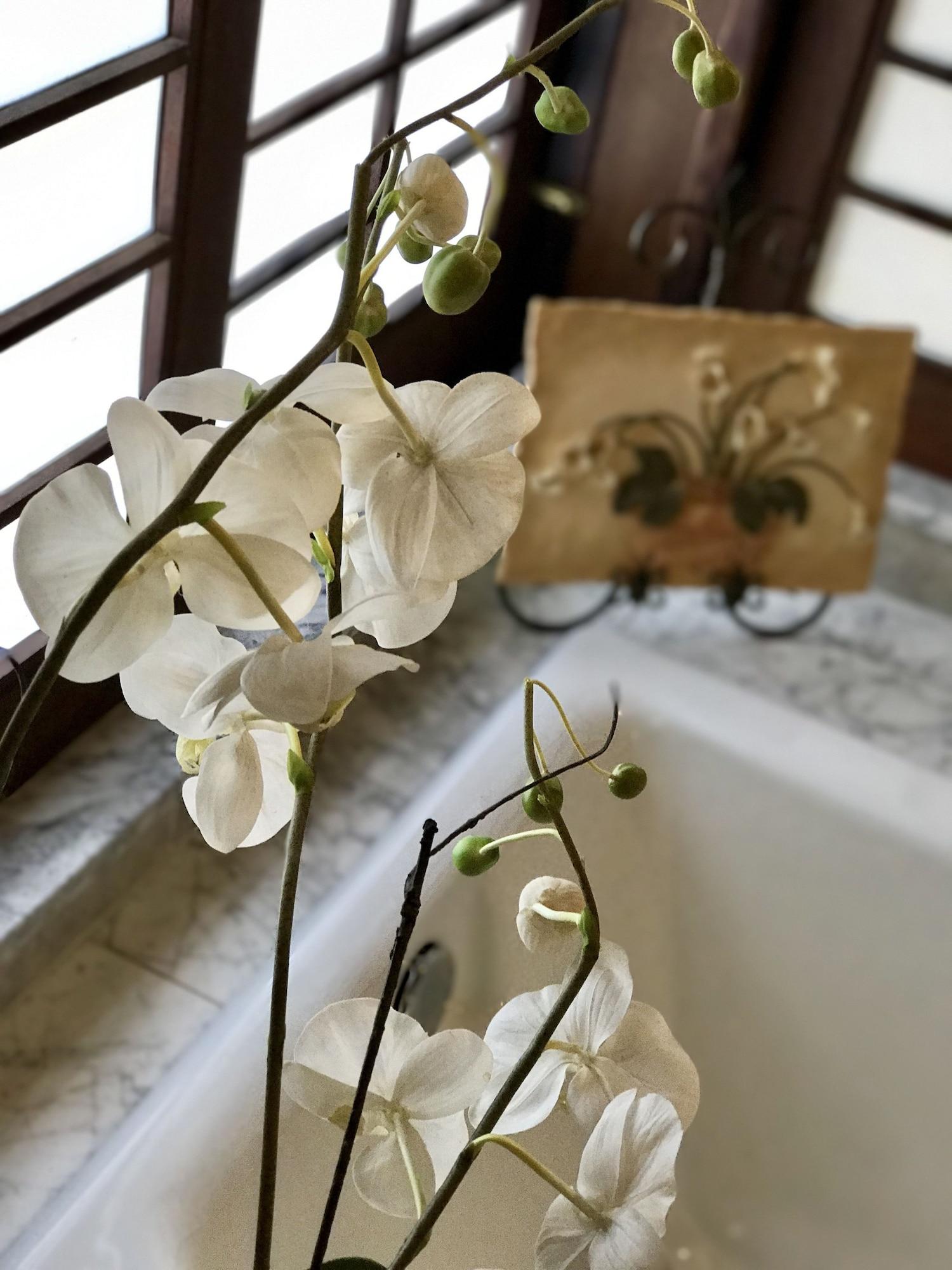 Hale Maluhia Country Inn (House of Peace) by null