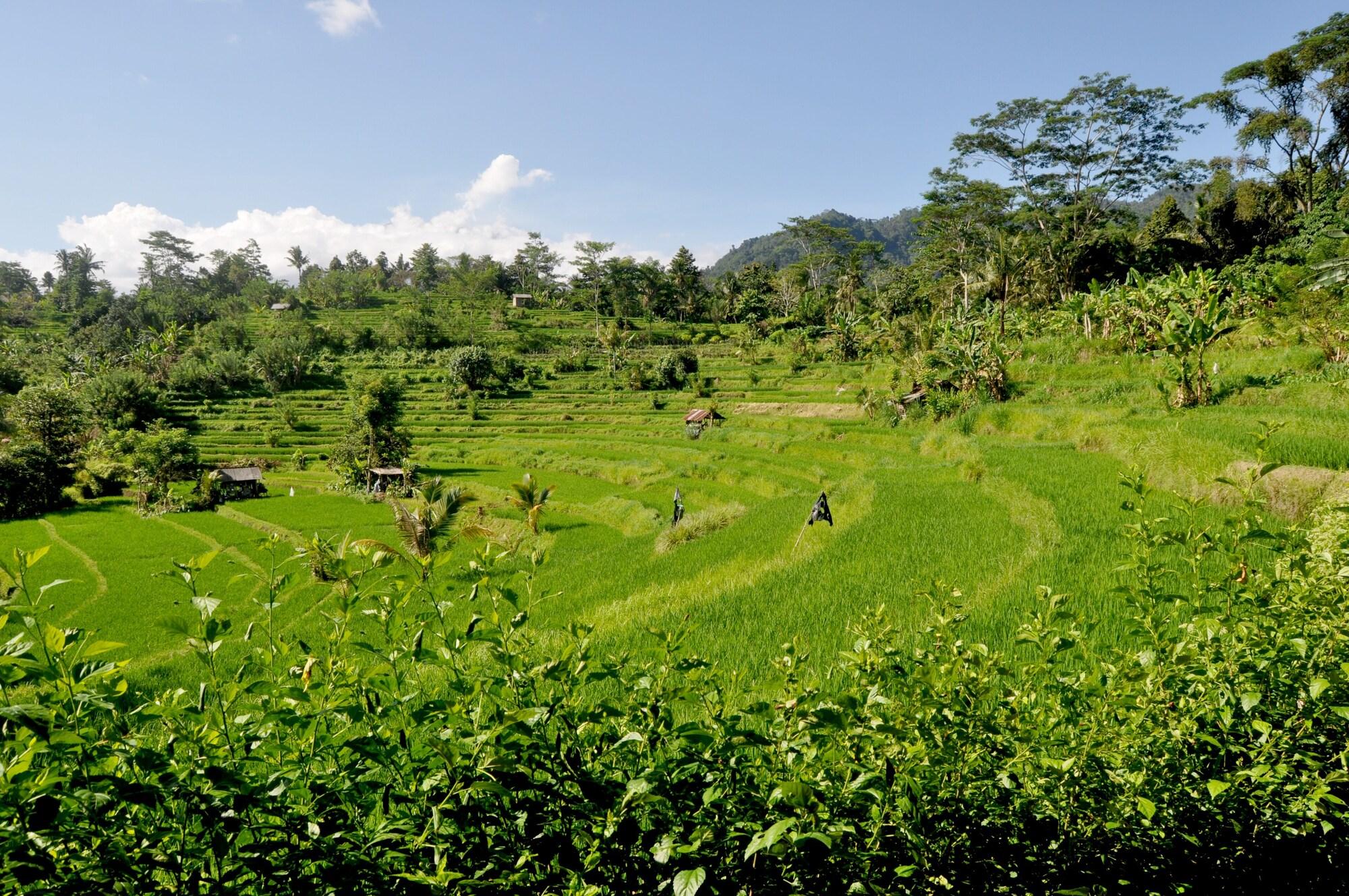 Subak Tabola Villa by null