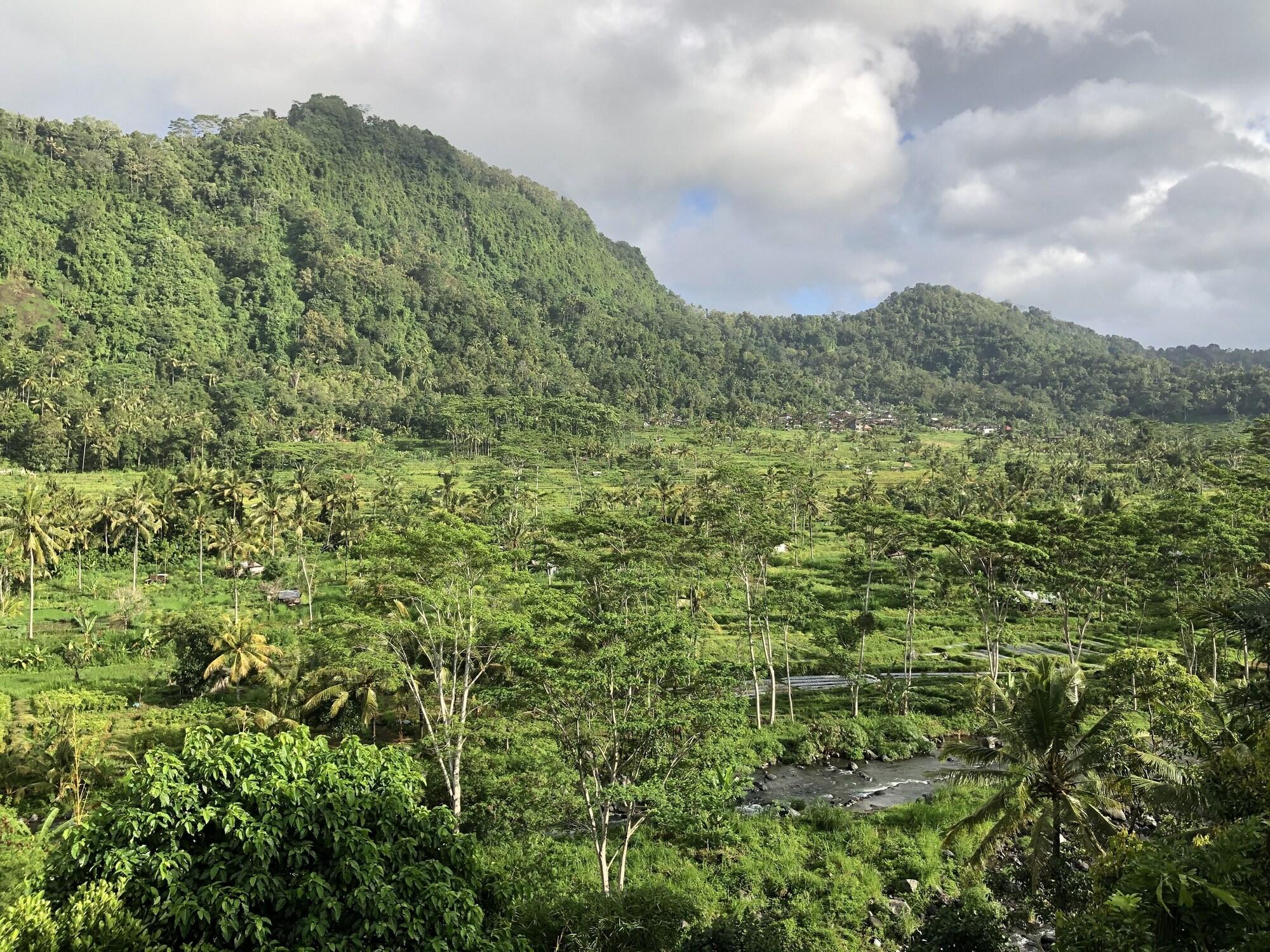 Nirarta Centre for Living Awareness by null