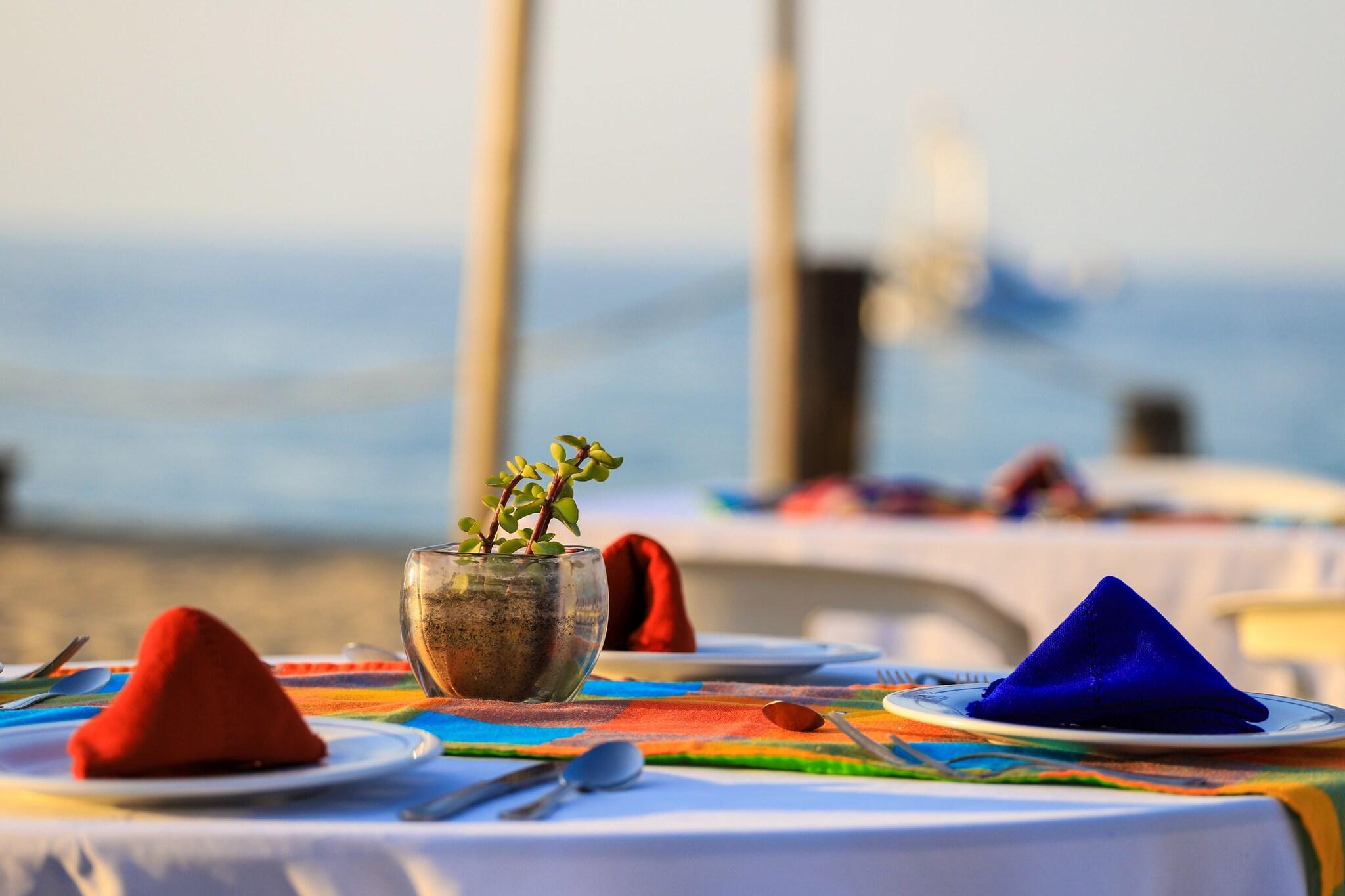Buena vista Oceanfront & Hot Springs Resort 