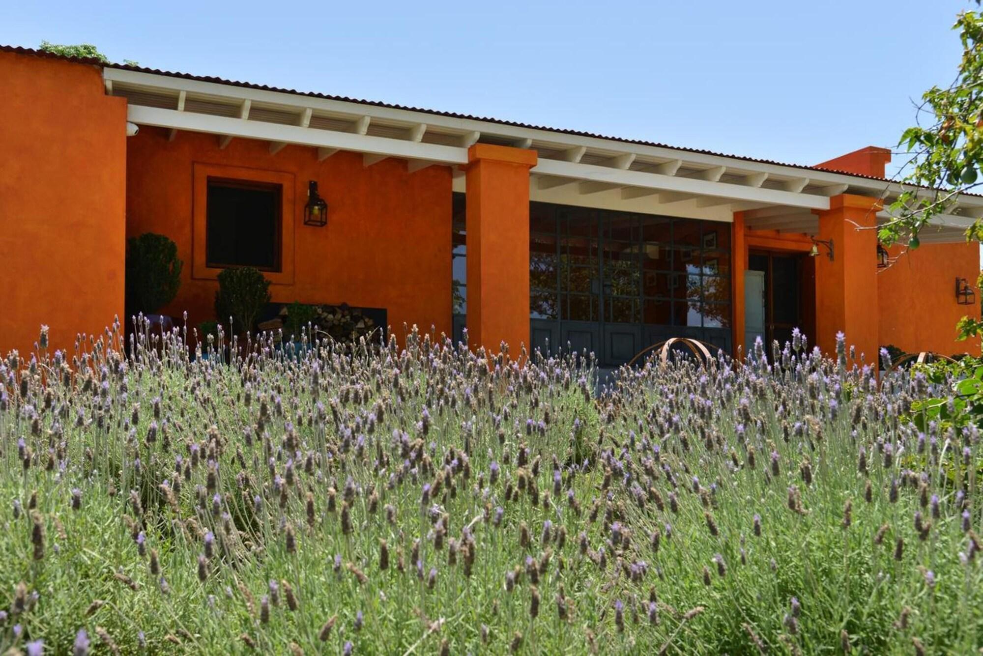 Posada CampoTinto by null