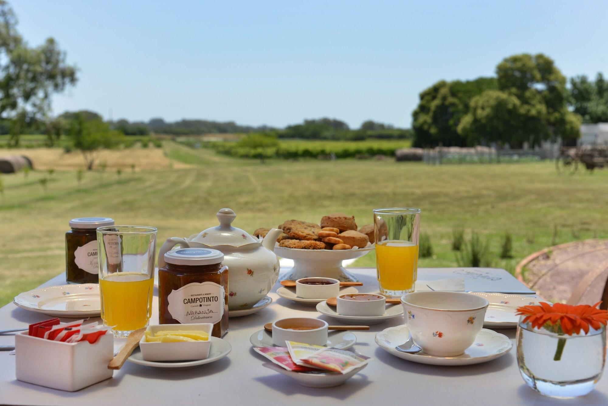 Posada CampoTinto by null