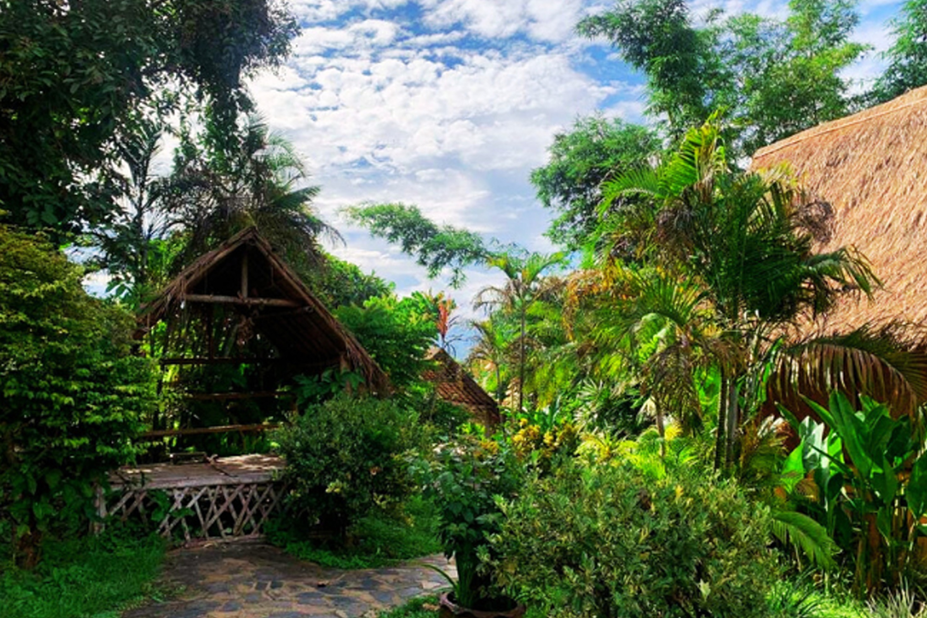 Old tree's house resort. by null