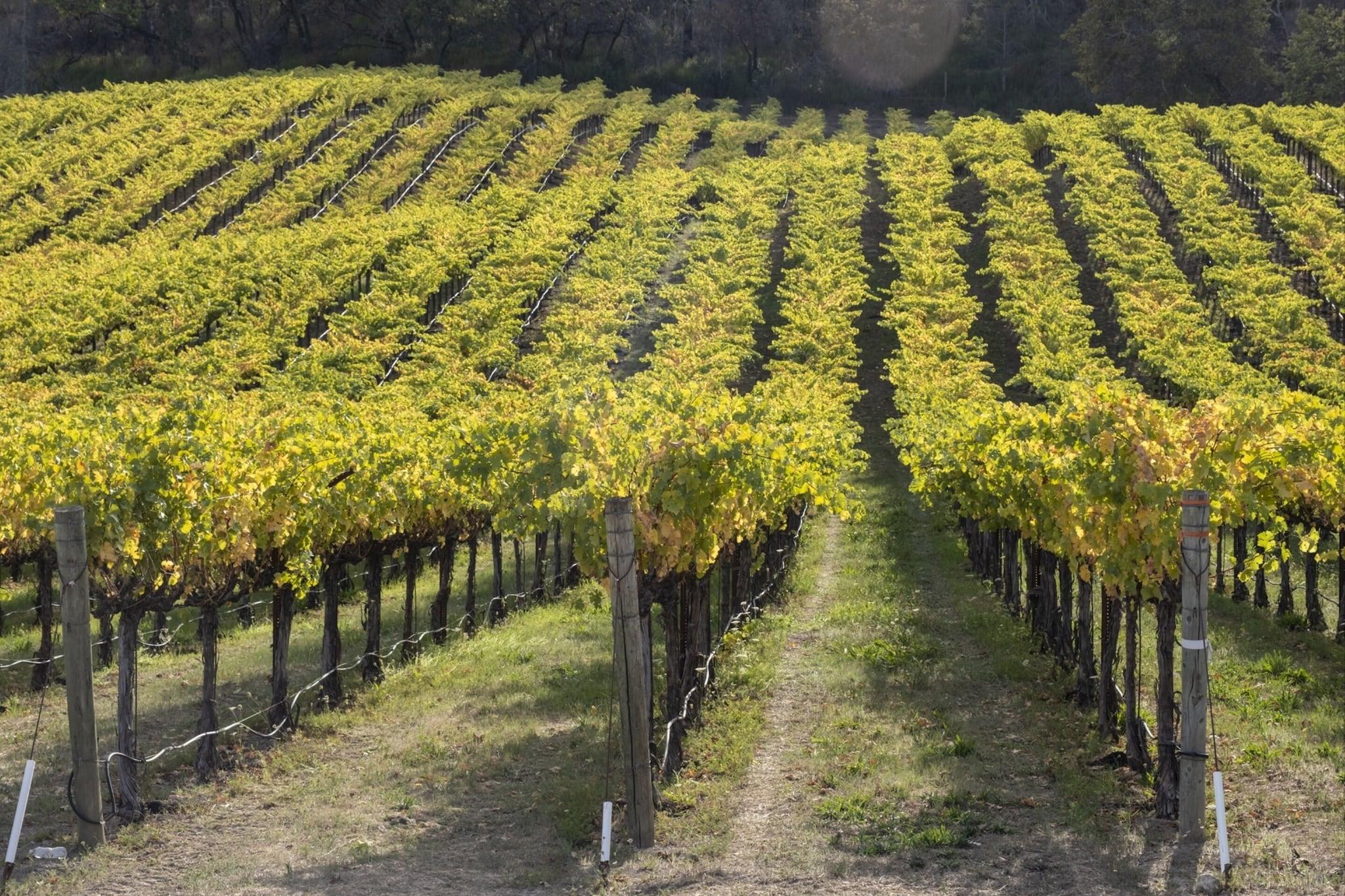 Wine Country Inn & Cottages Napa Valley by null