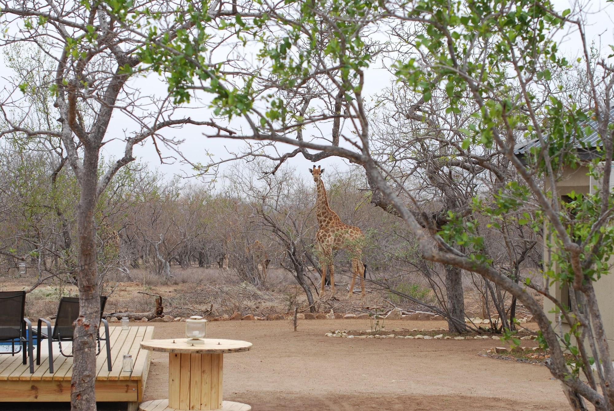 The Baobab Bush Lodge