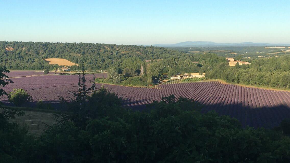 The farm Petit Ségriès by null