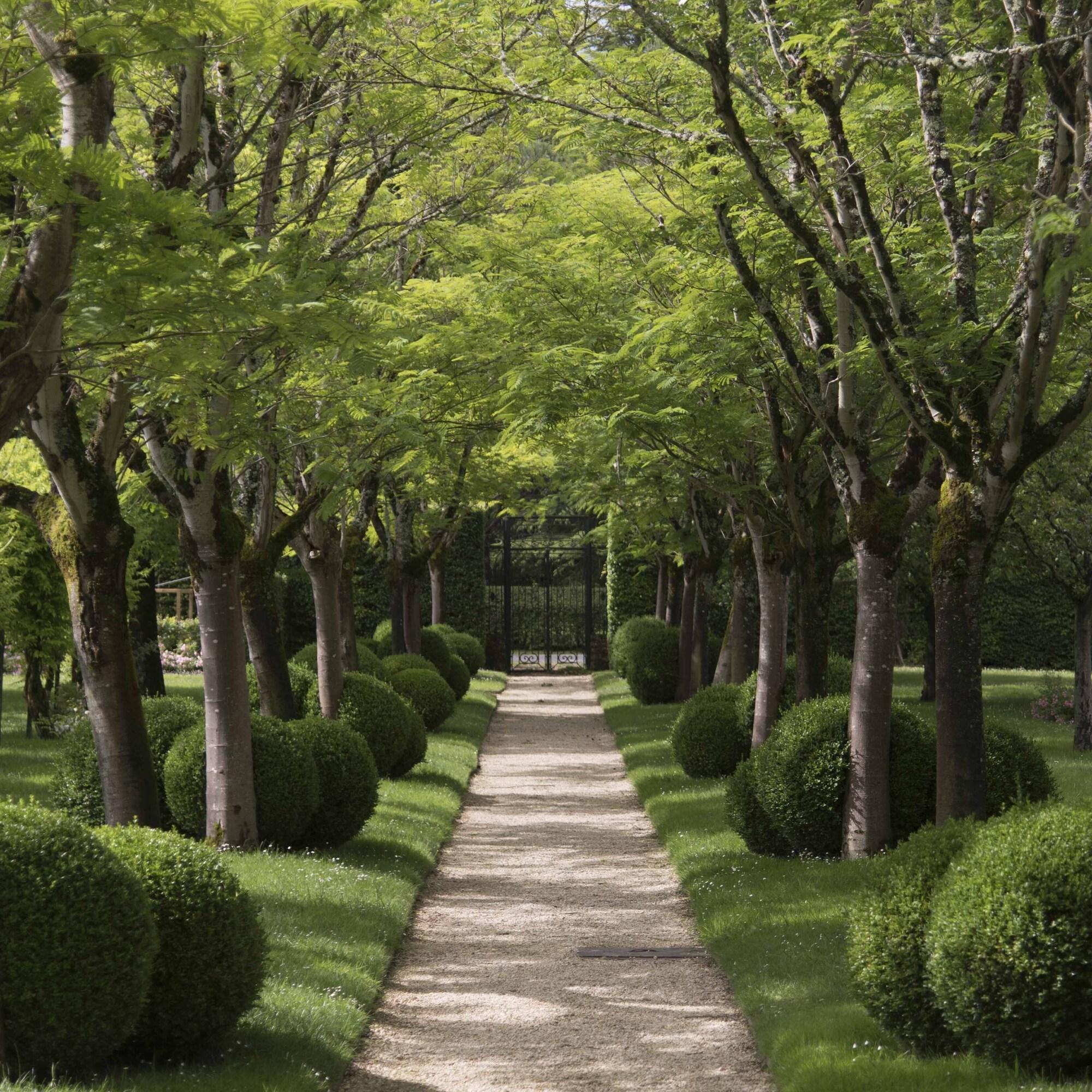 Relais & Châteaux - Le Vieux Logis - Dordogne by null