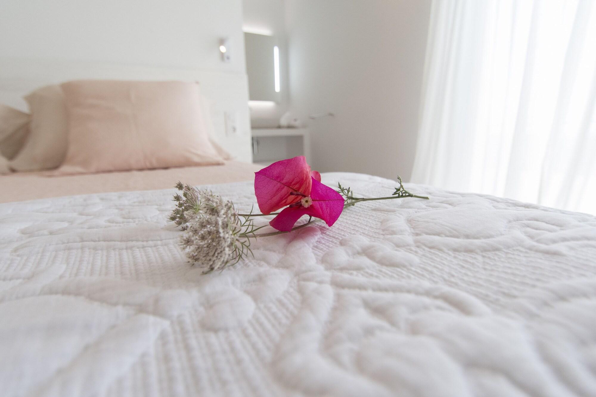 Agroturisme Son Vives by null