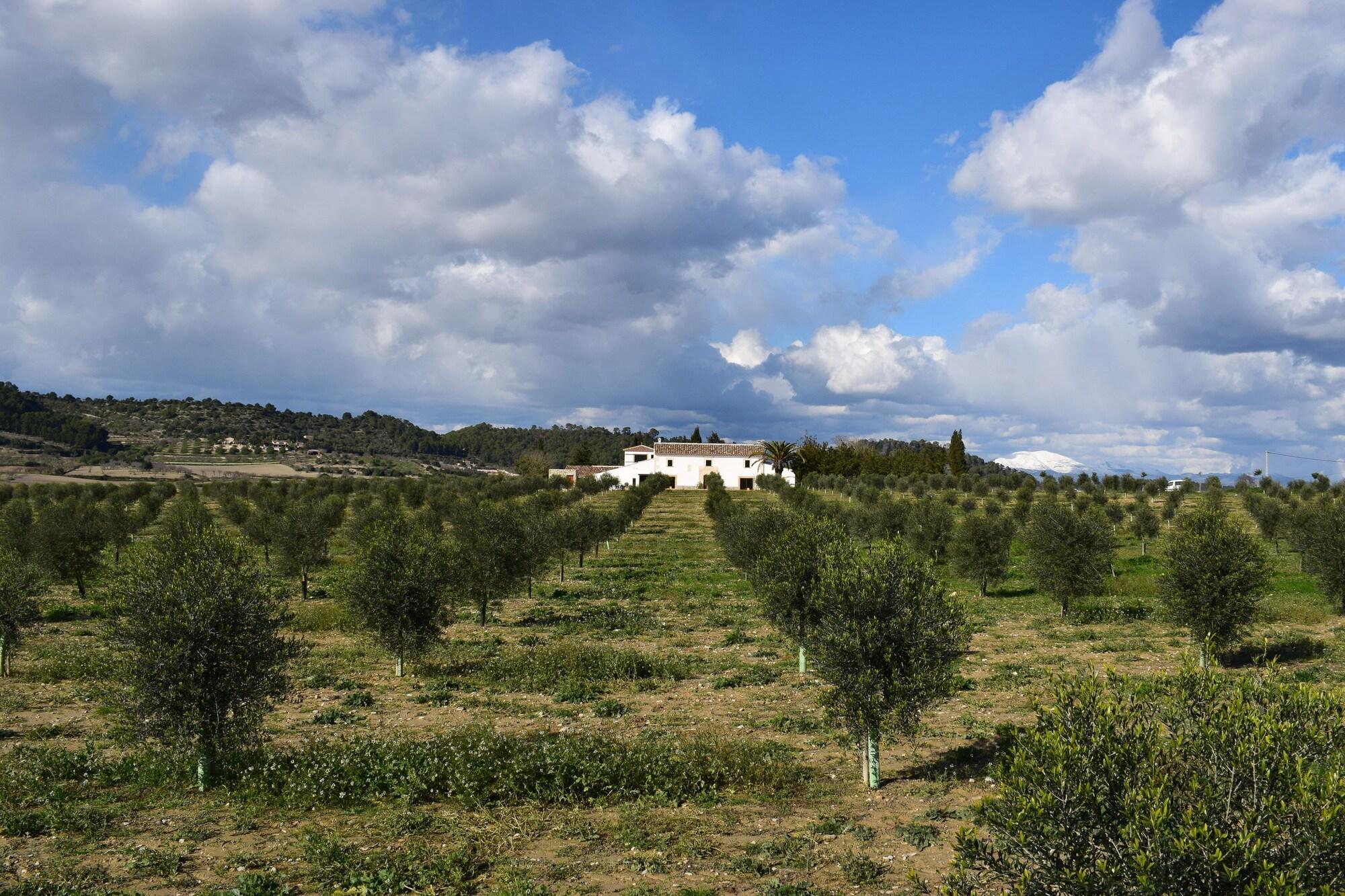 Agroturisme Gossalba by null