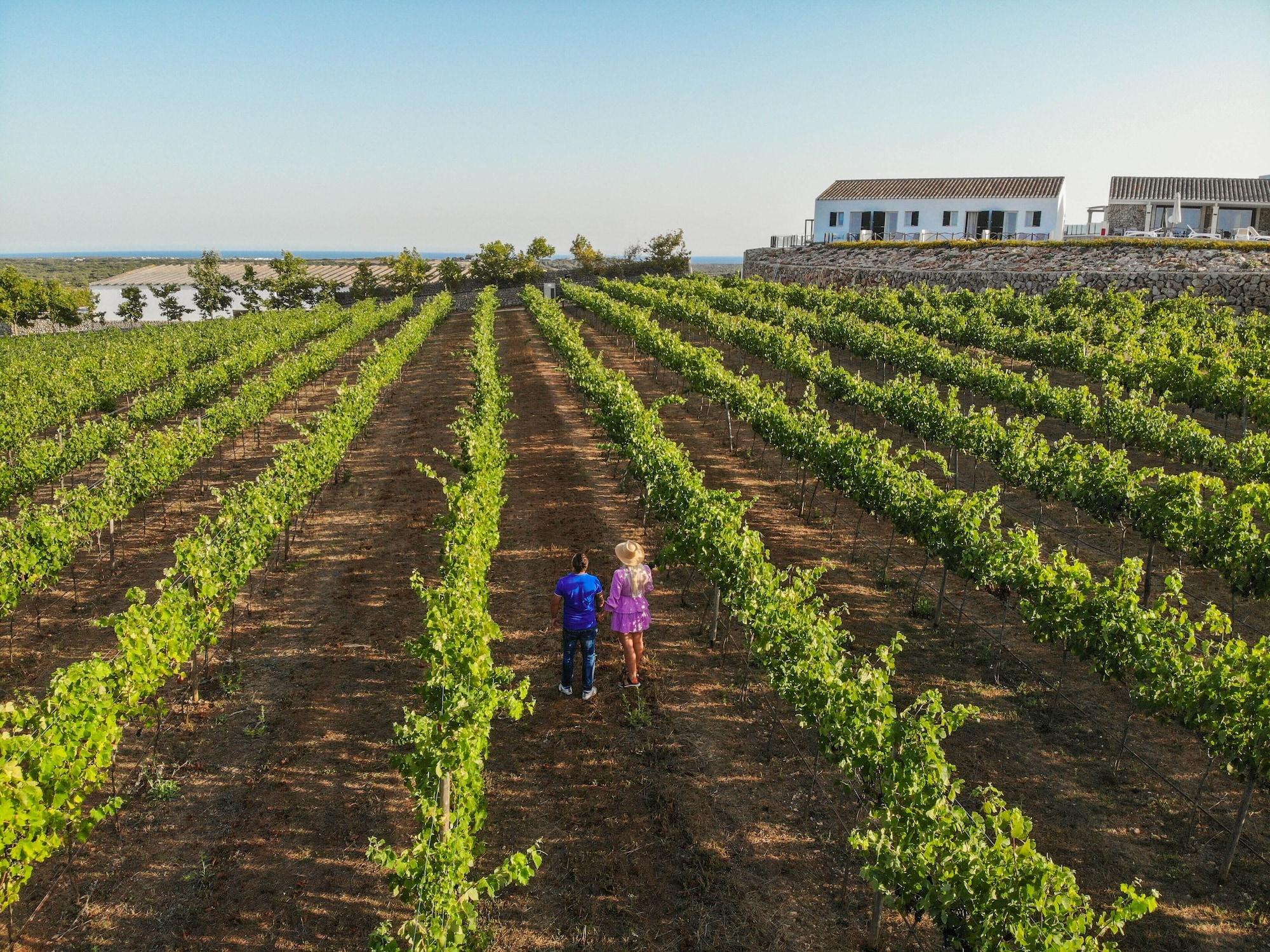 Hotel Agroturismo Llucasaldent Gran -Adults Only by null