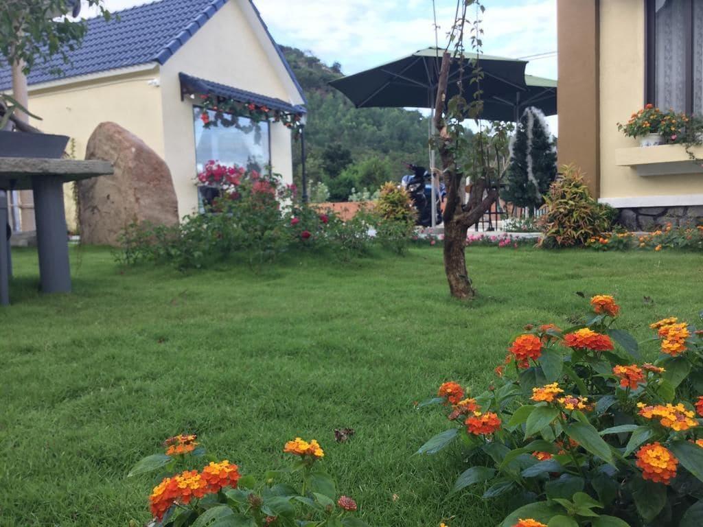 Aloha Binh Tien - photo